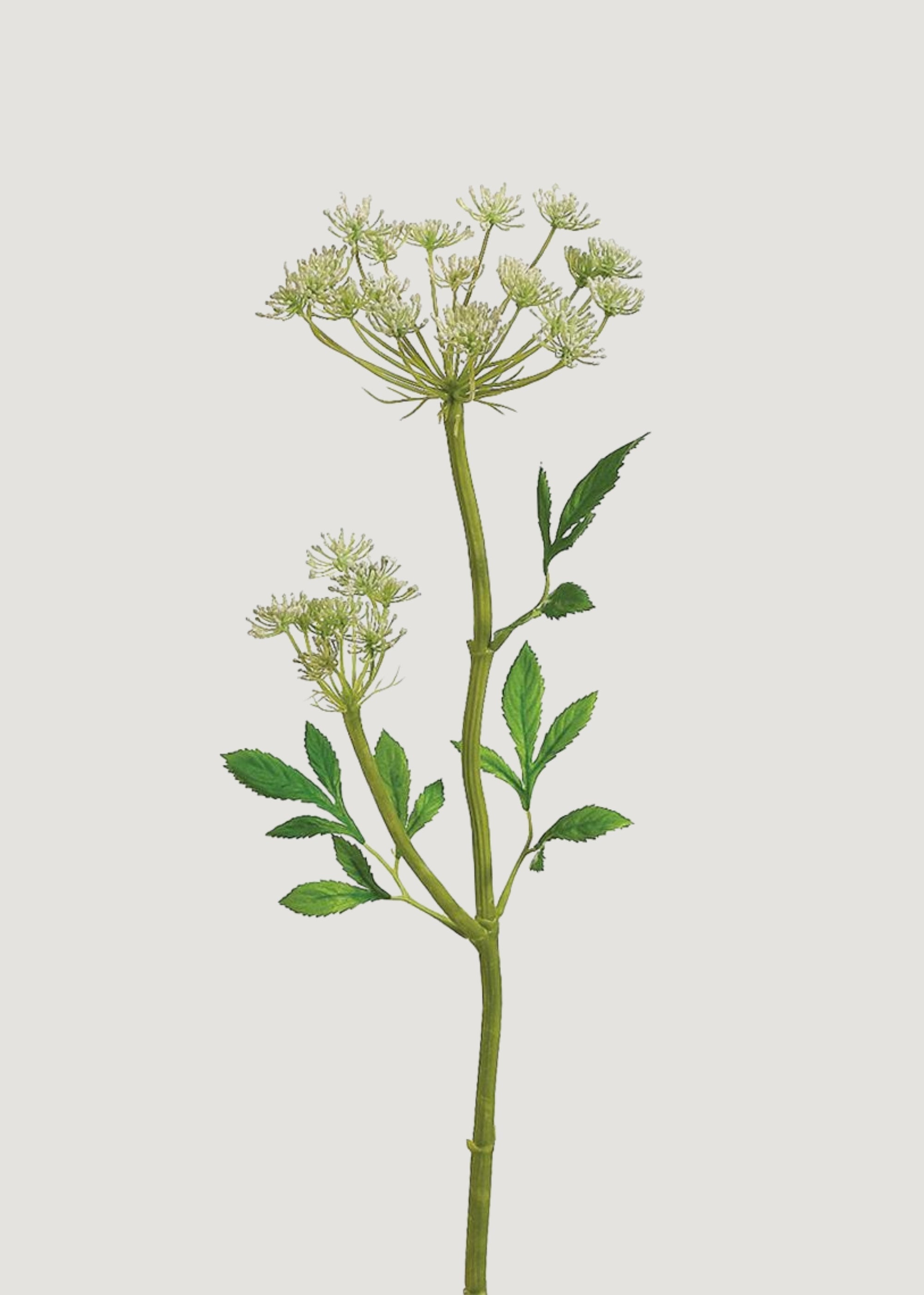Artificial Queen Anne's Lace Stem for Vase Styling