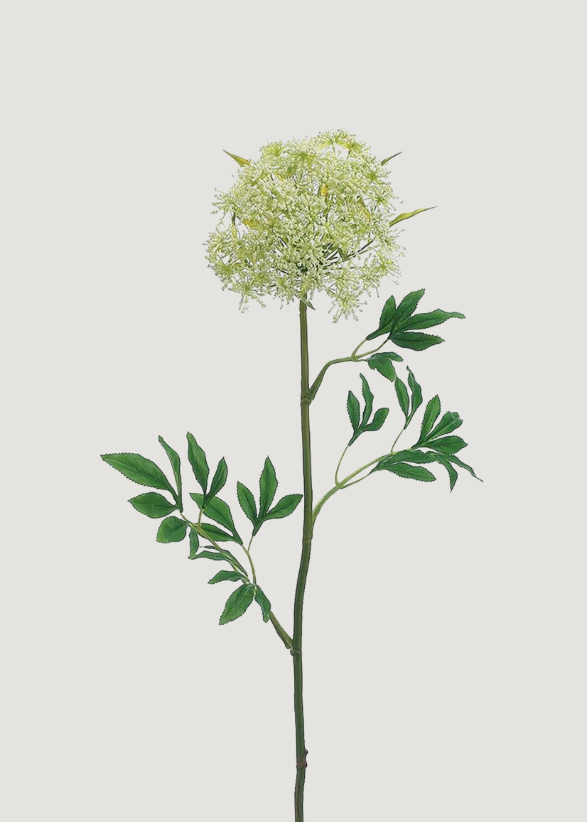Artificial Queen Anne's Lace Stem for Vase Styling