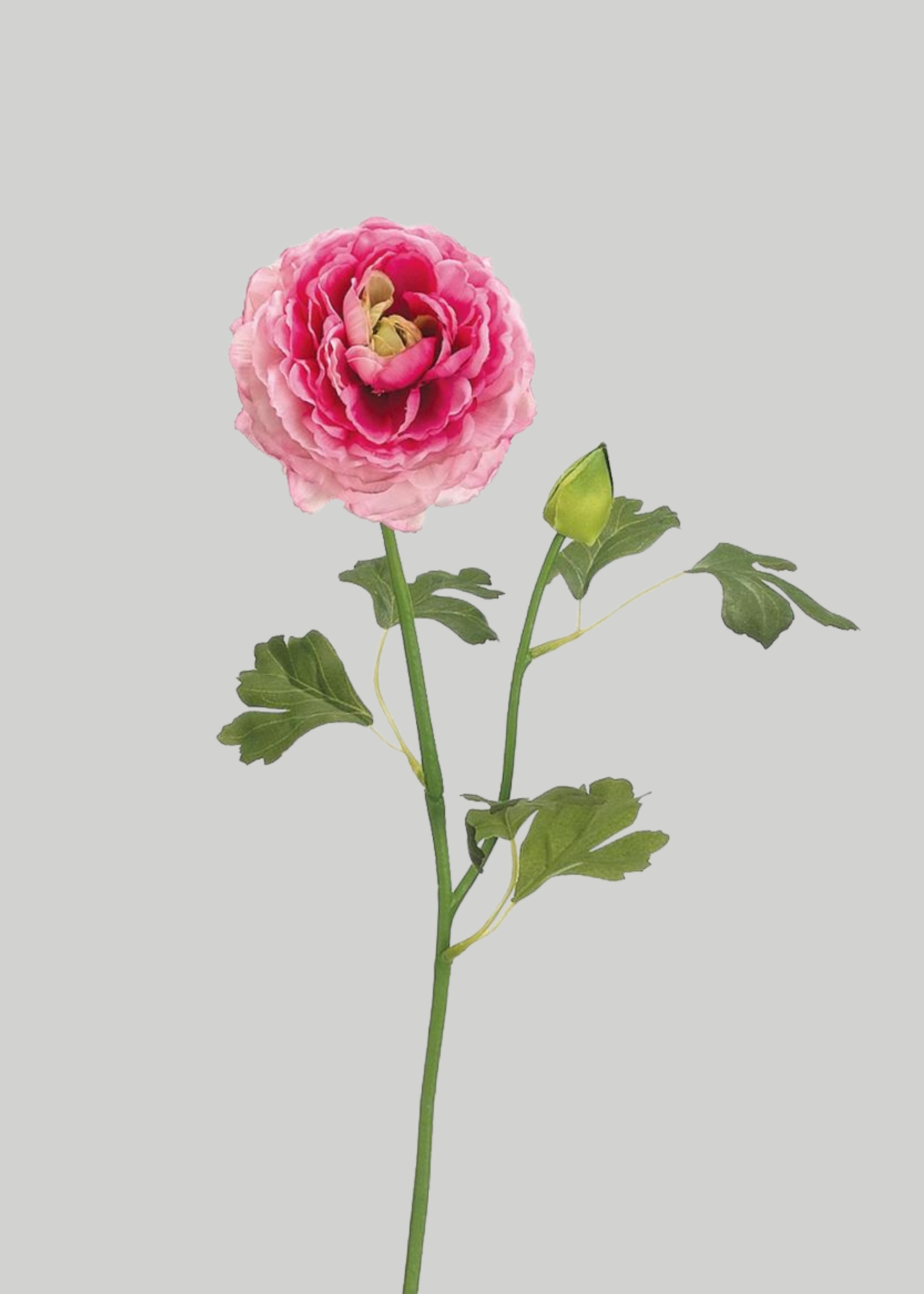 Pink Artificial Ranunculus Stem for Vase Styling