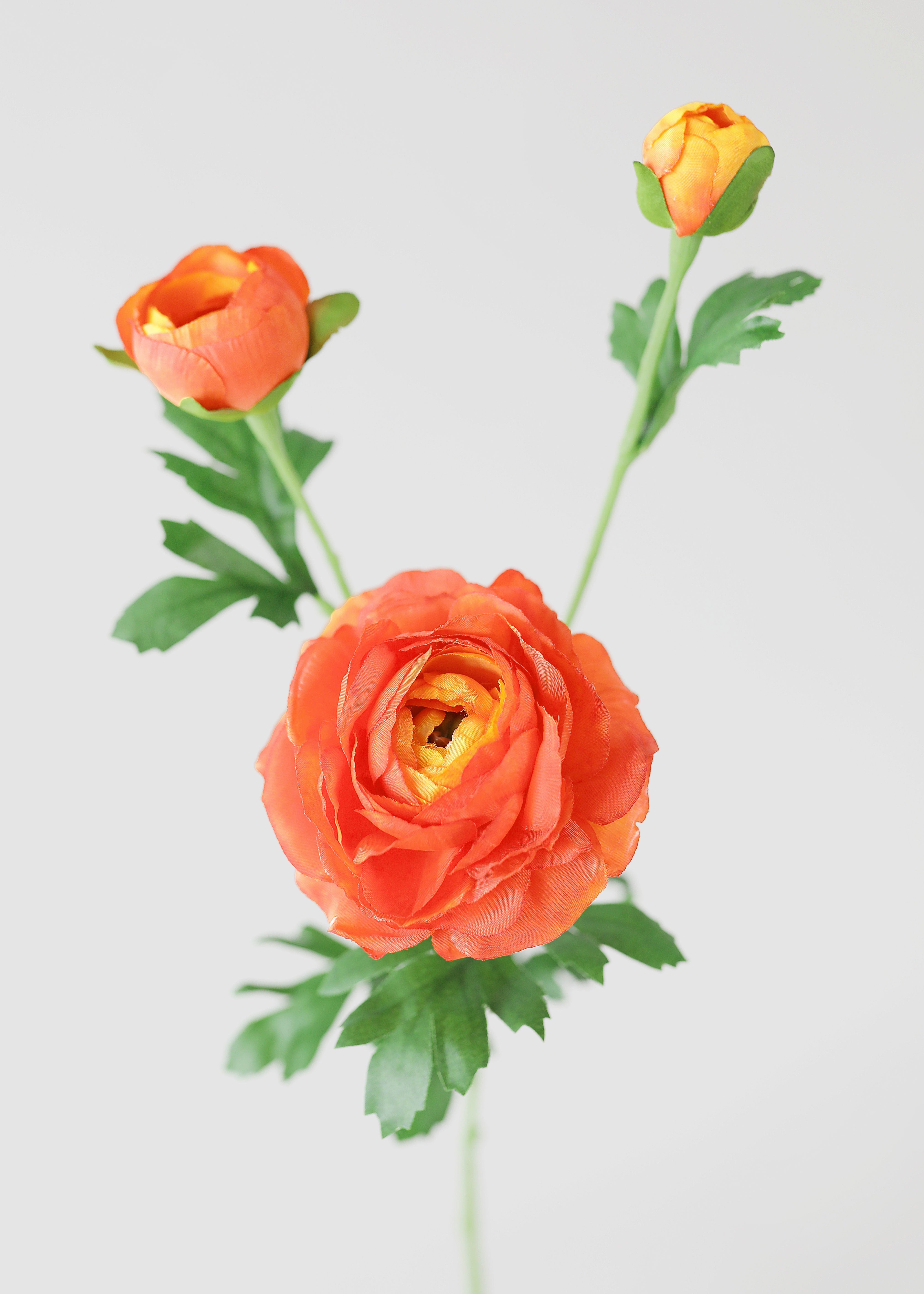 Orange Artificial Ranunculus Stem for Home Decor