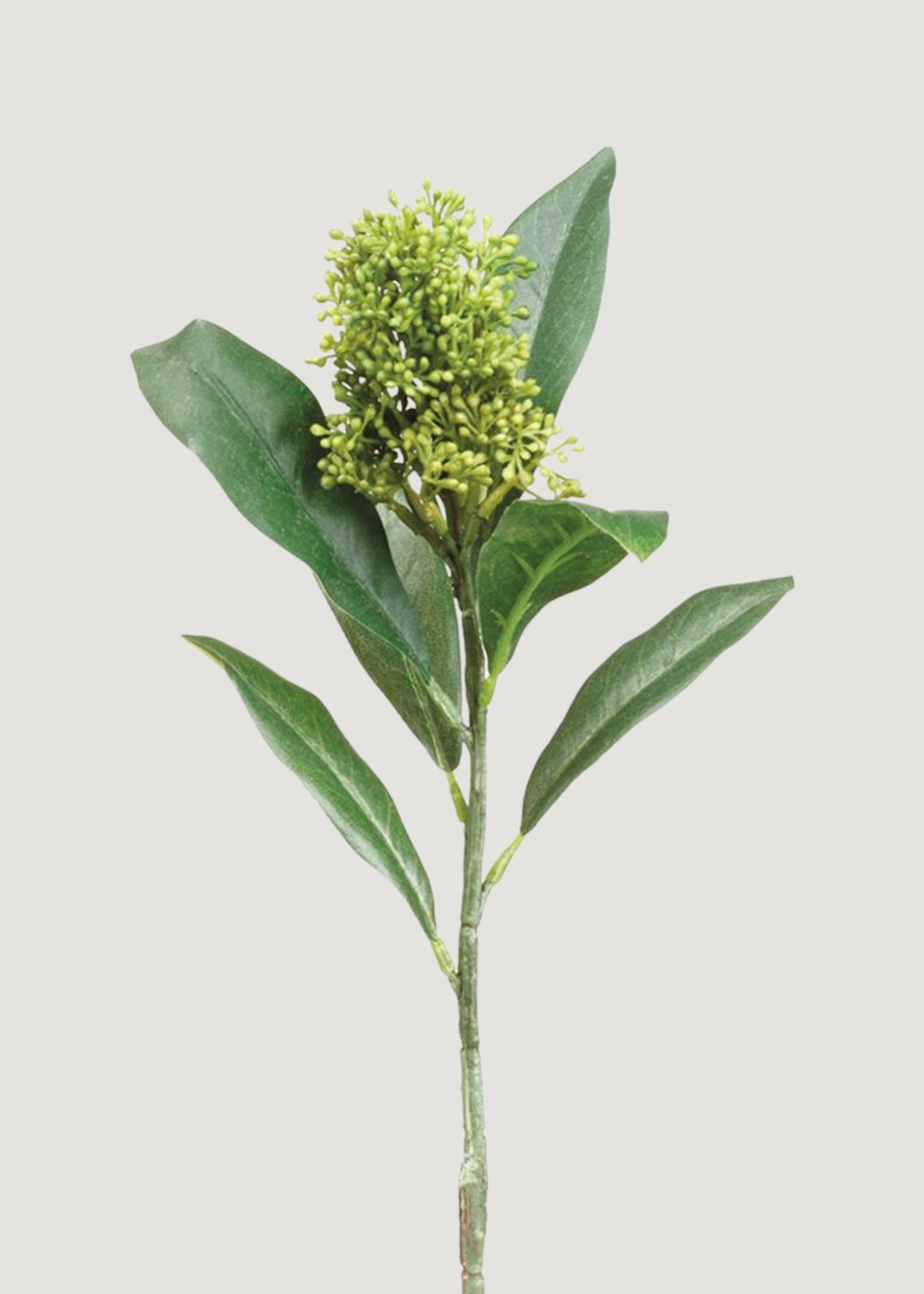 Green Artificial Skimmia Pick for Vase Styling