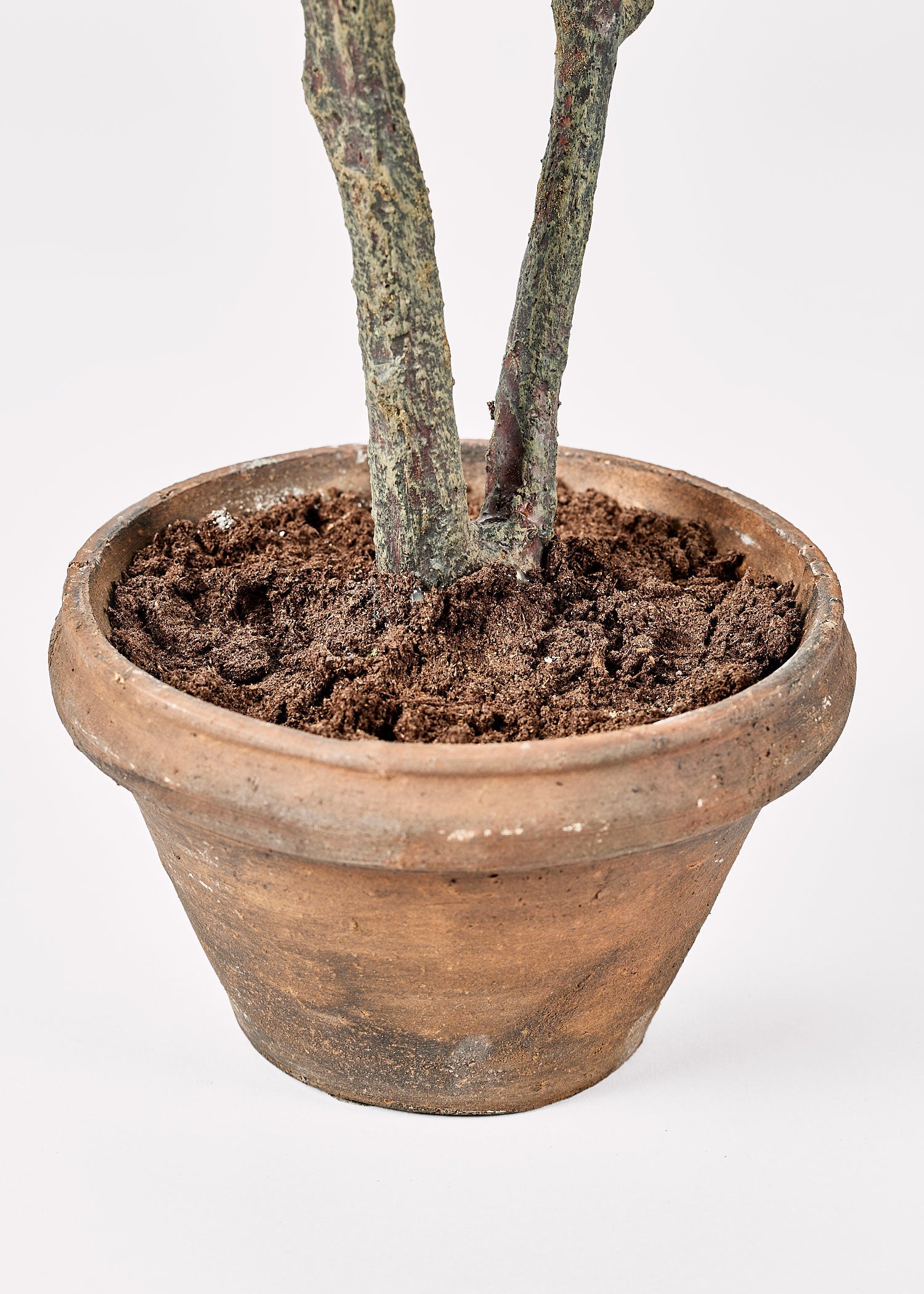 Green Artificial Japonicus Potted Tree for Entryway Arrangement