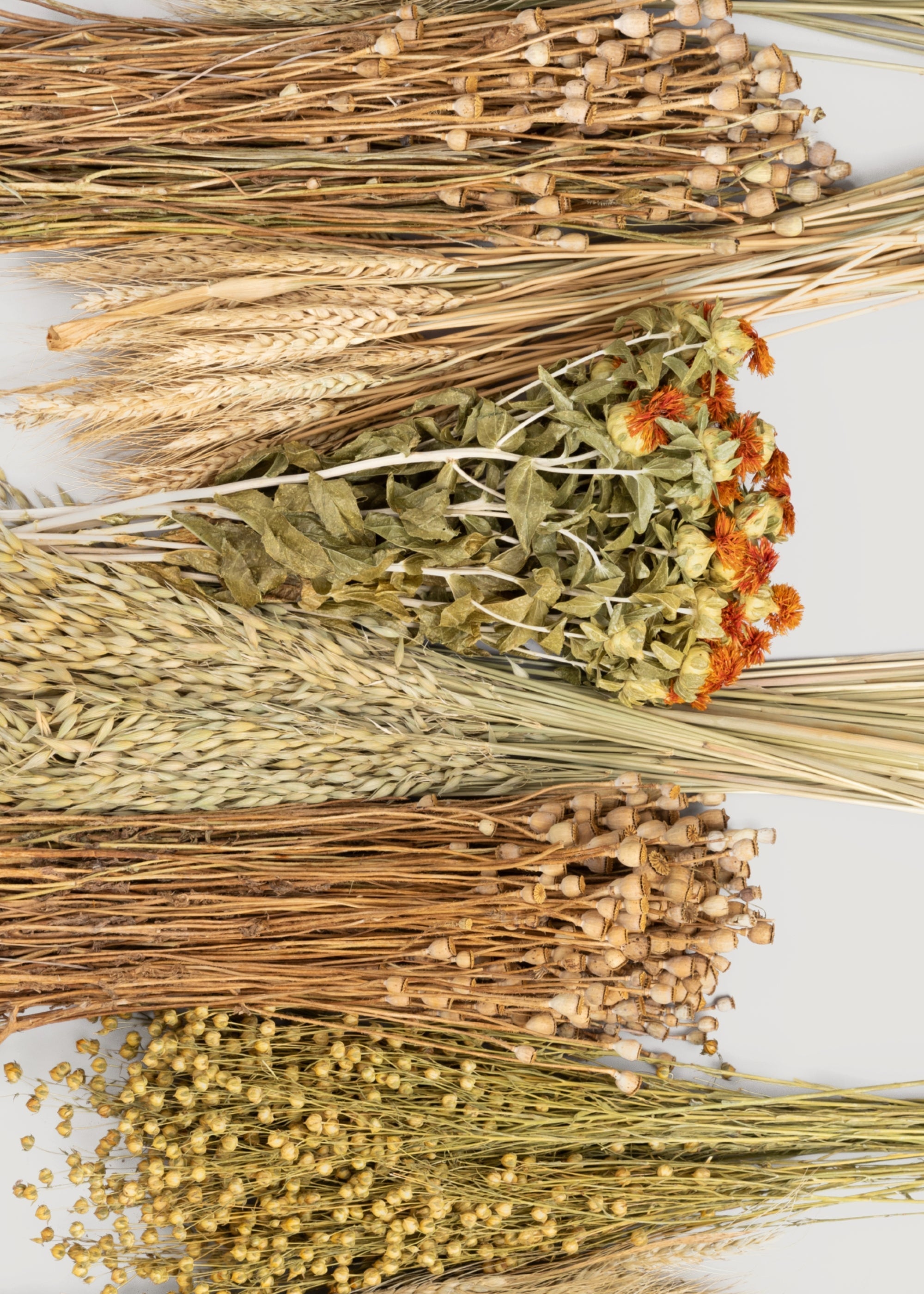 Green Dried Case Assorted Bundles Of Grains and Grasses for Wedding Decor