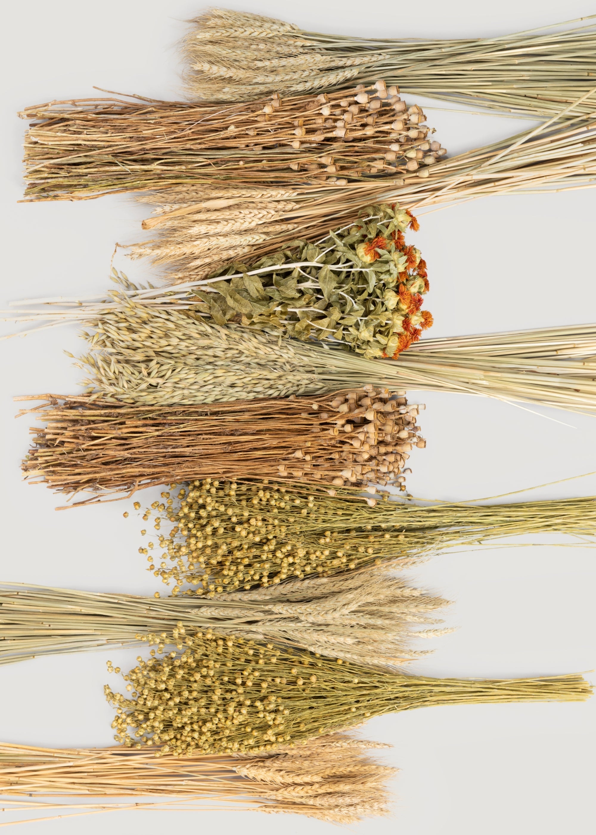Green Dried Case Assorted Bundles Of Grains and Grasses for Vase Styling