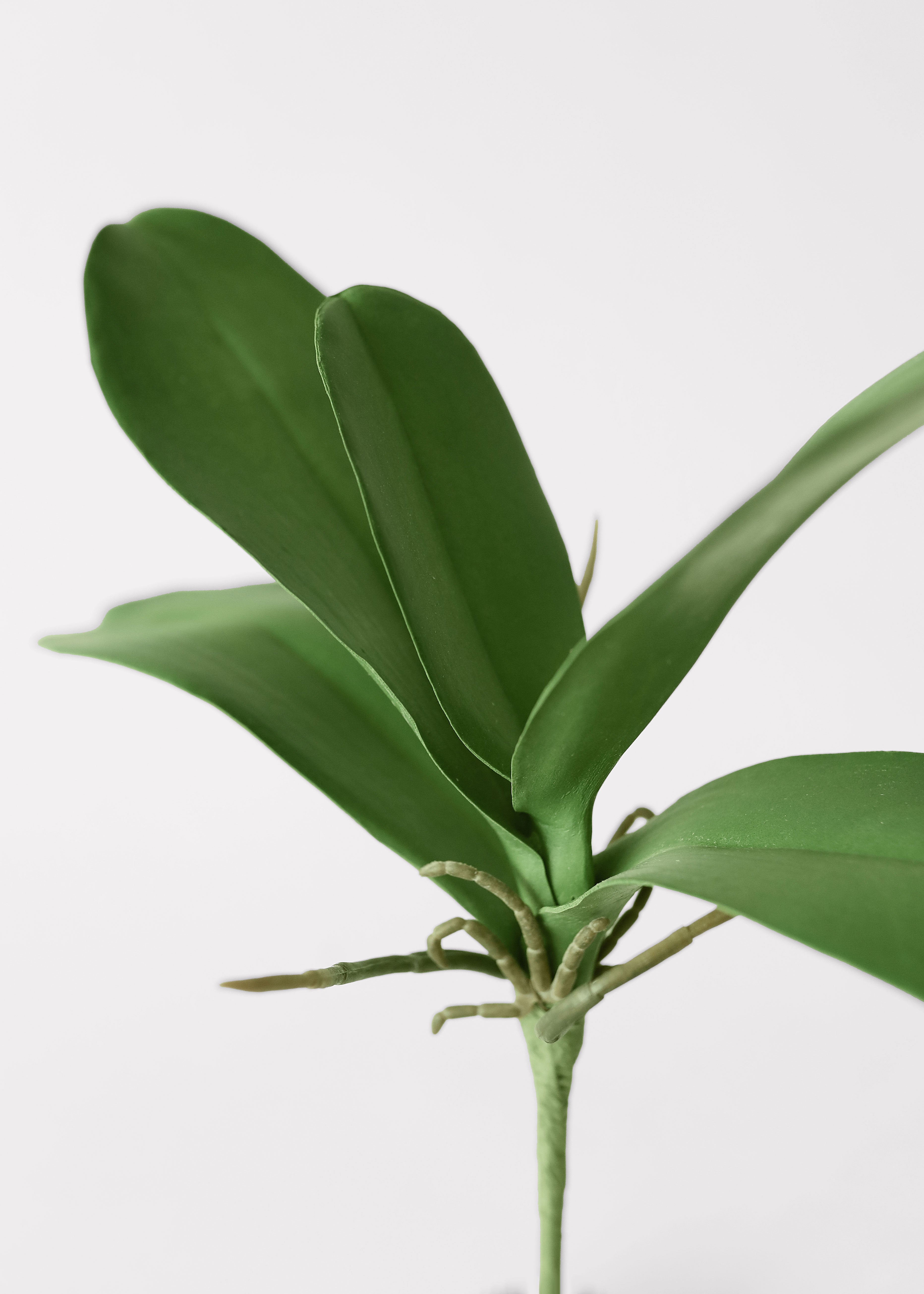 Green Artificial Orchid Stem for Table Centerpiece