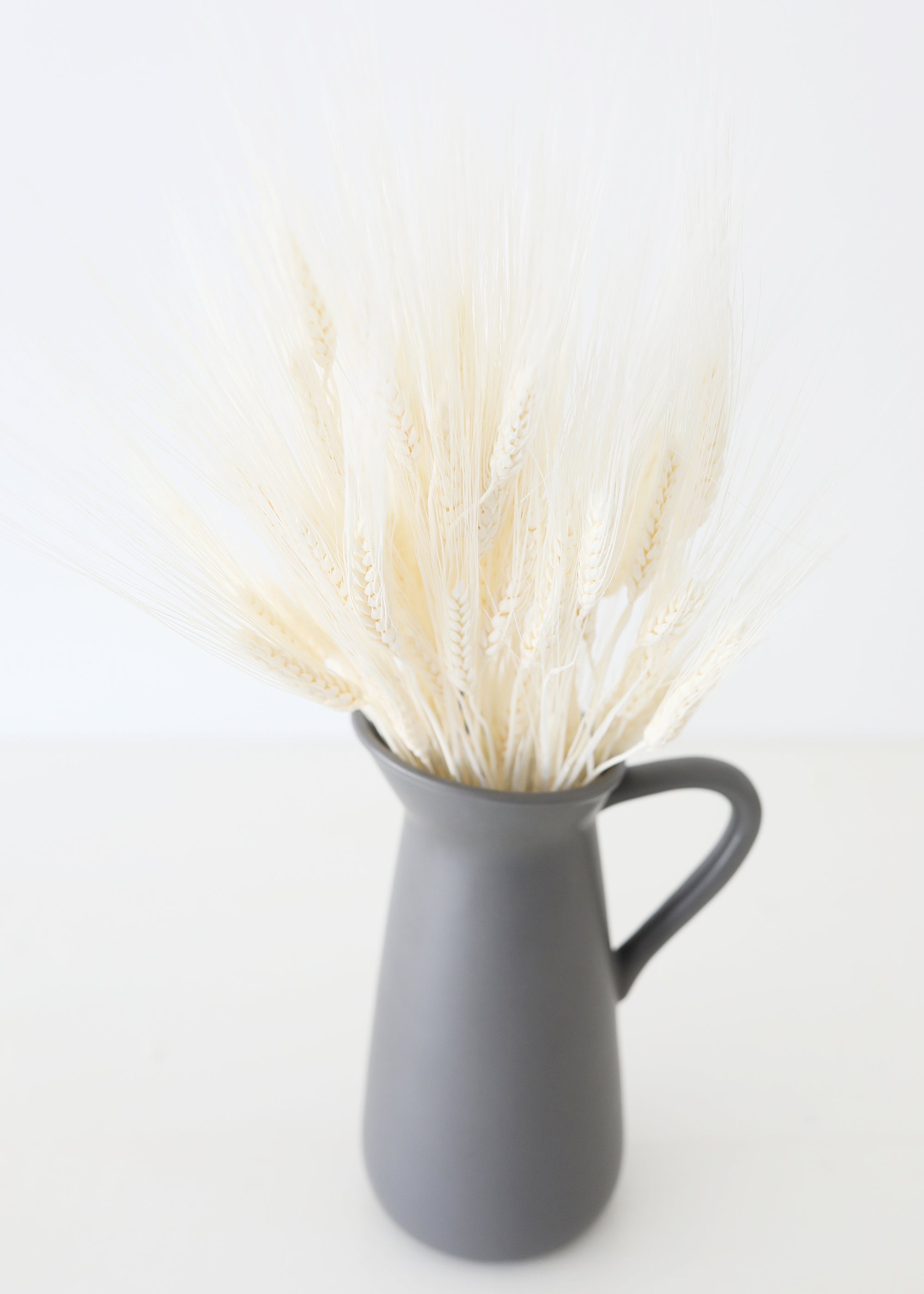 Natural Dried Bleached Natural Triticum Wheat 8 Oz Bunch for Home Decor