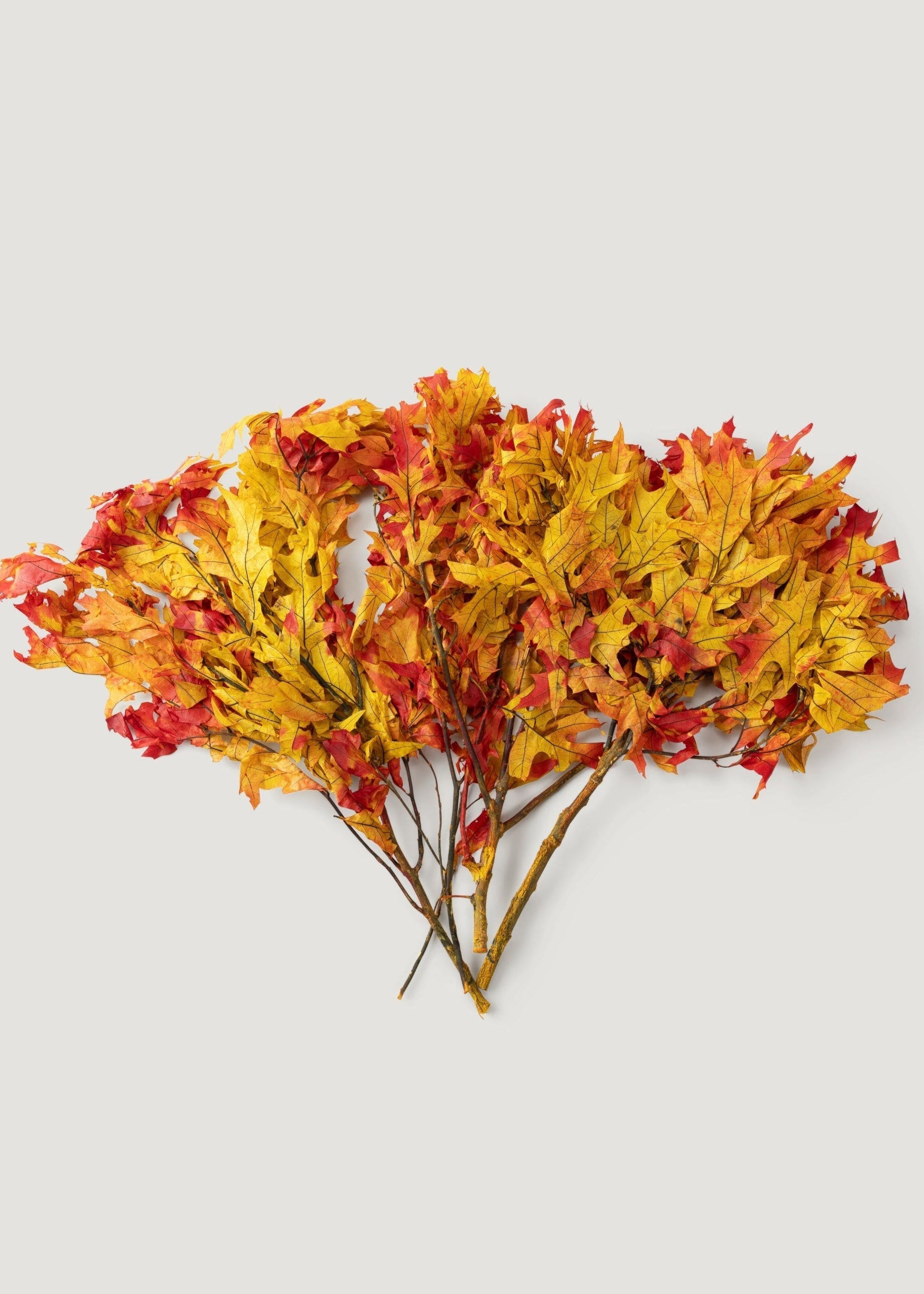Red Dried Leaves Stems for Home Decor