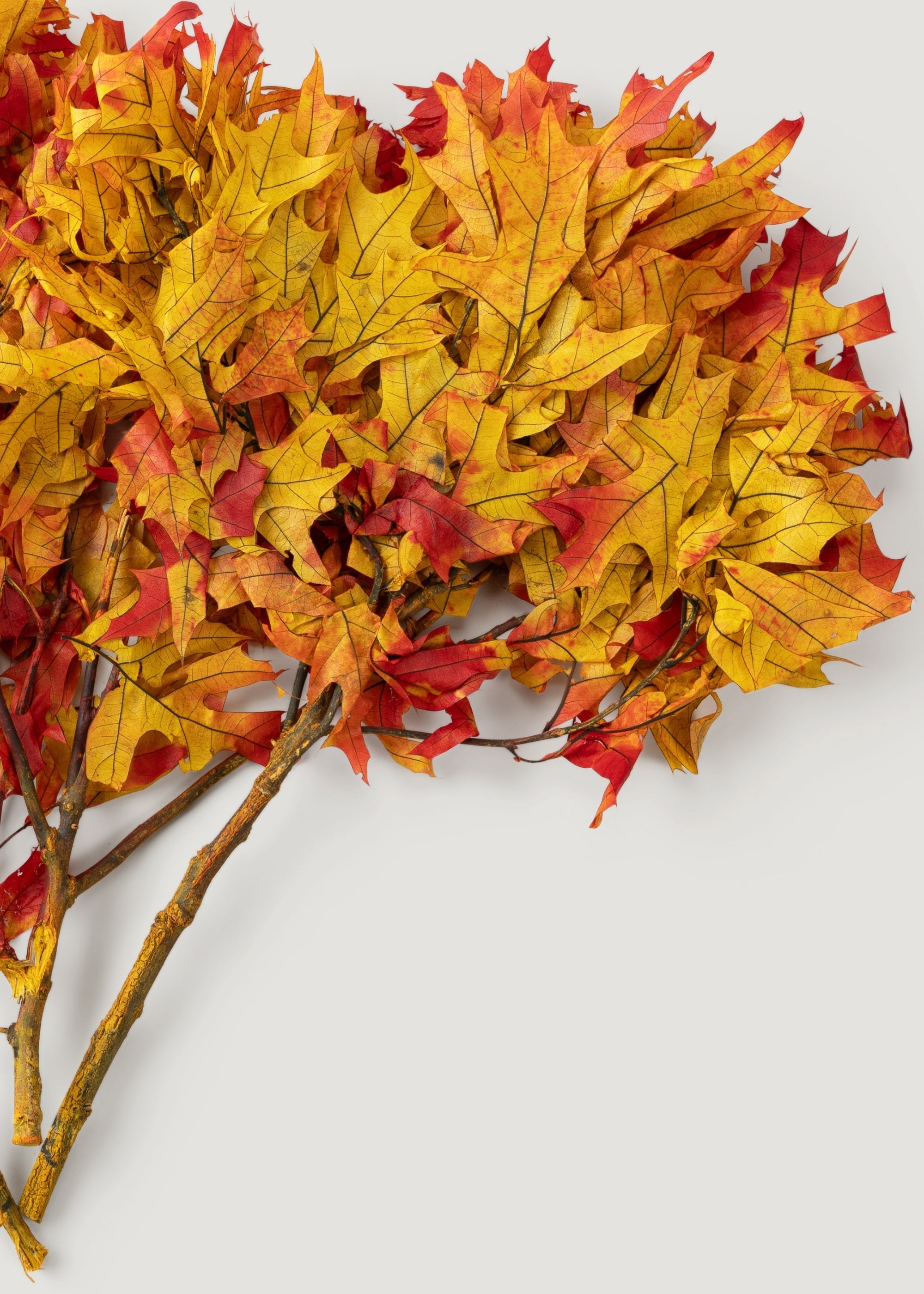 Red Dried Leaves Stems for Table Centerpiece