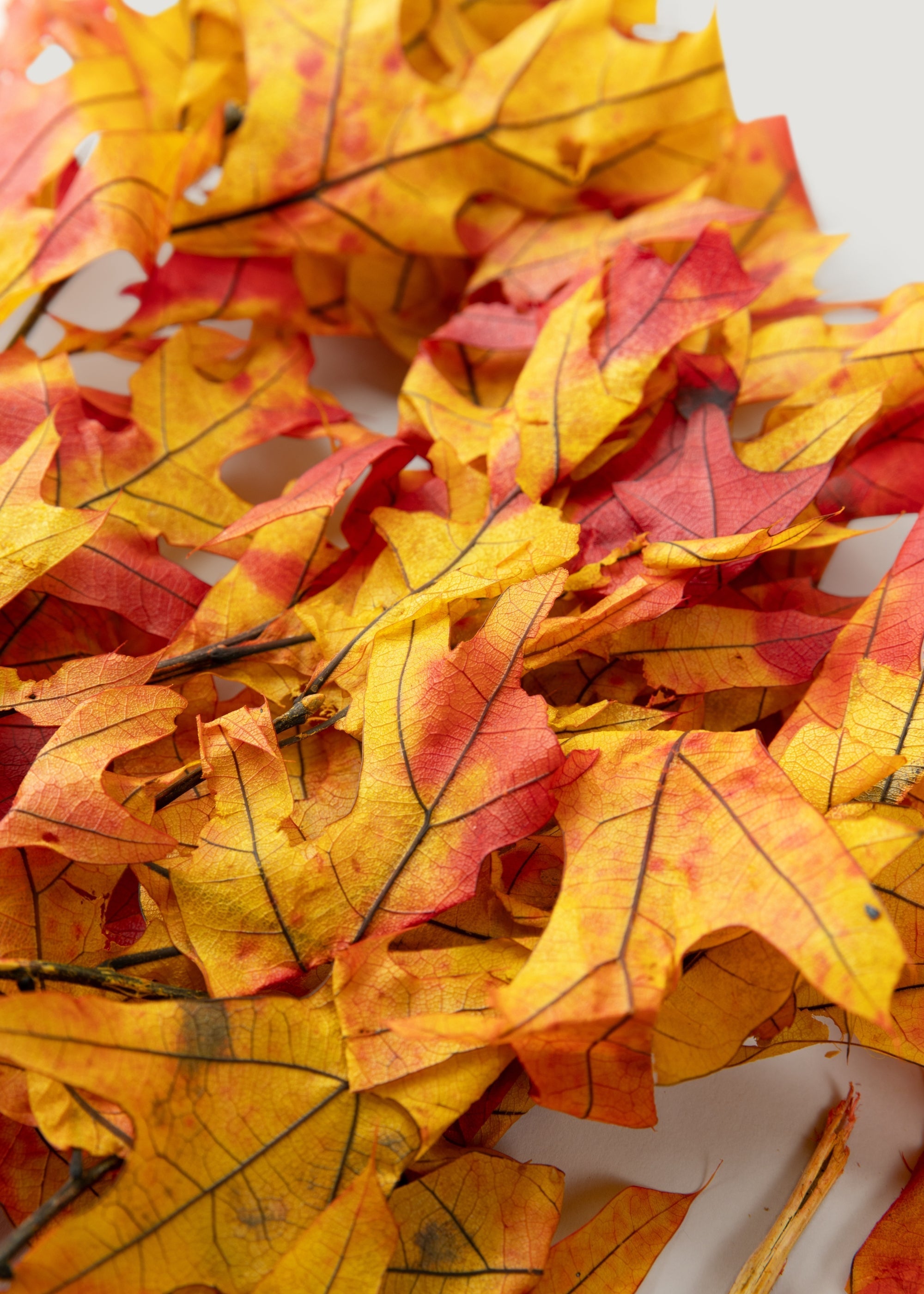 Red Dried Leaves Stems for Vase Styling