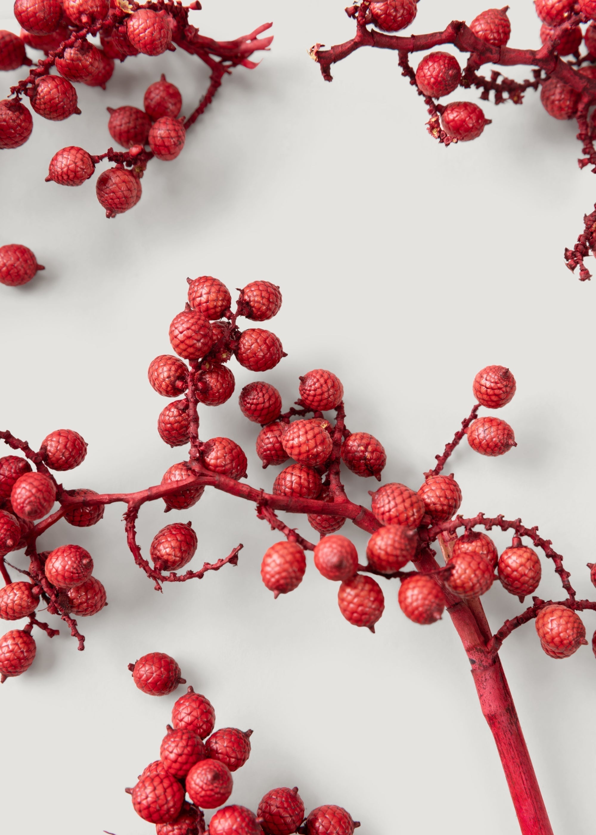 Red Dried Berry Stems for Home Decor