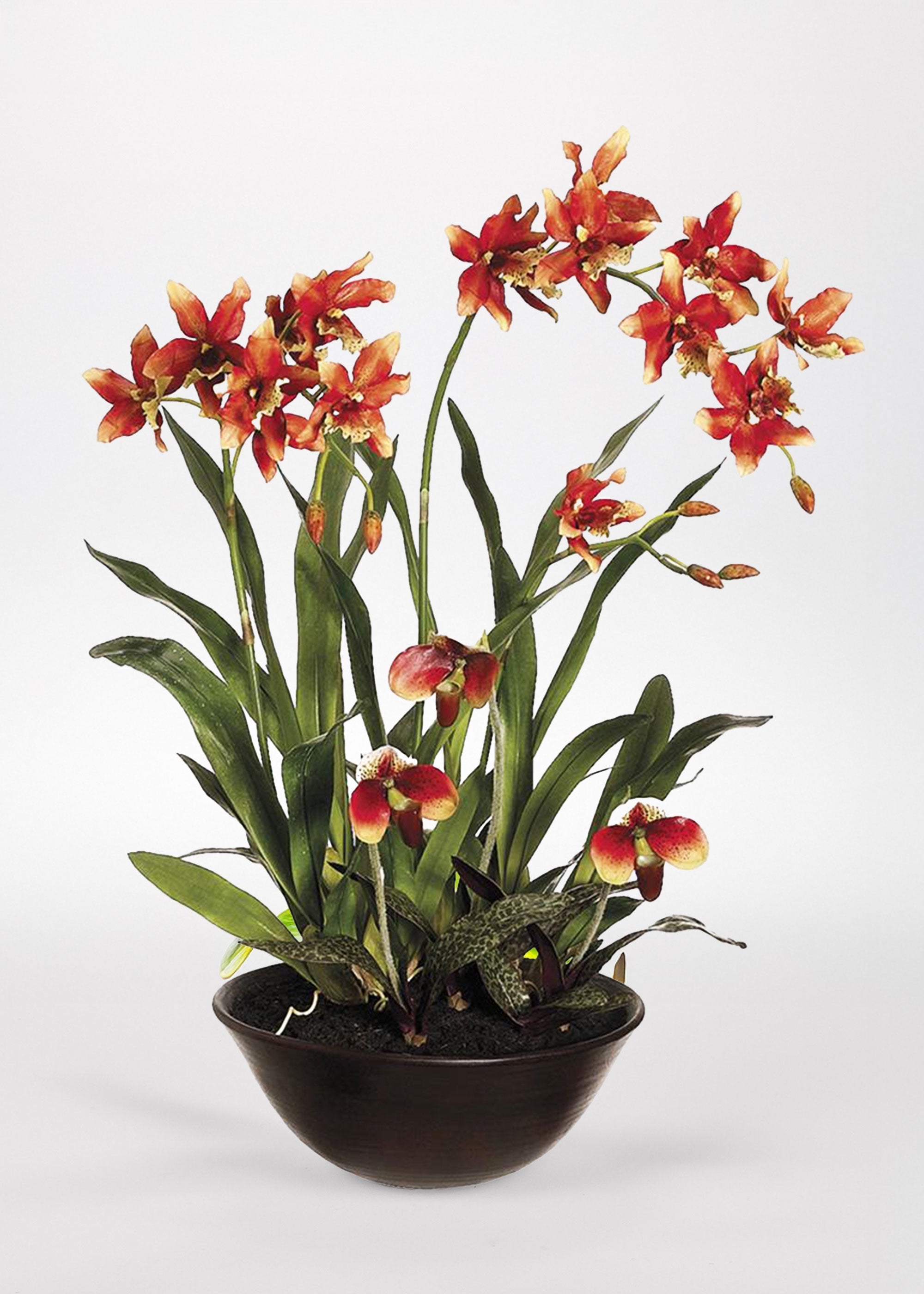 Artificial Orchid Arrangement for Entryway Arrangement