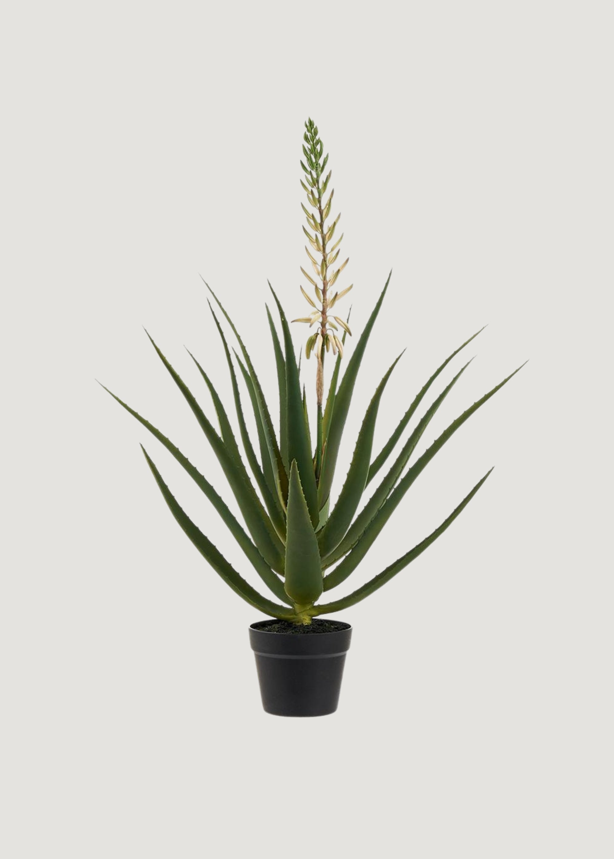 Potted artificial blooming agave cactus for modern decor