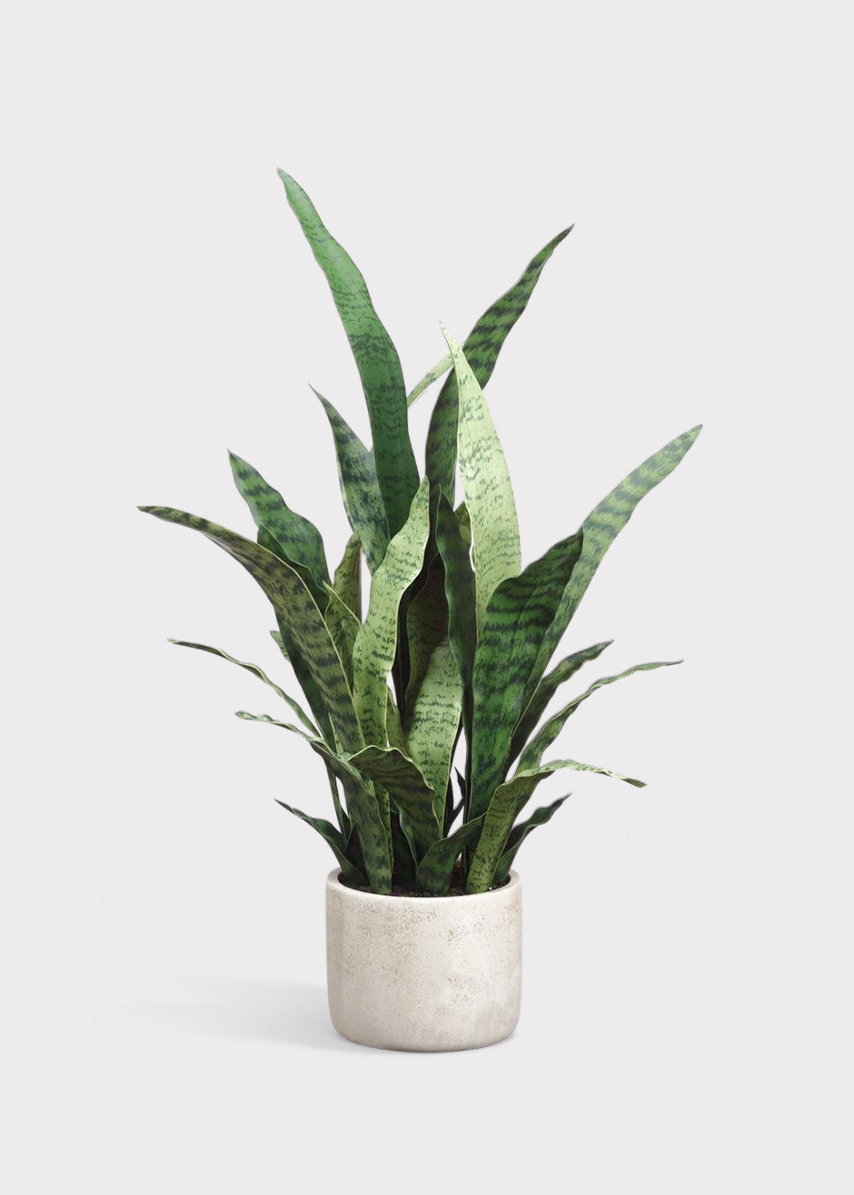 Green Artificial Potted Snake for Vase Styling