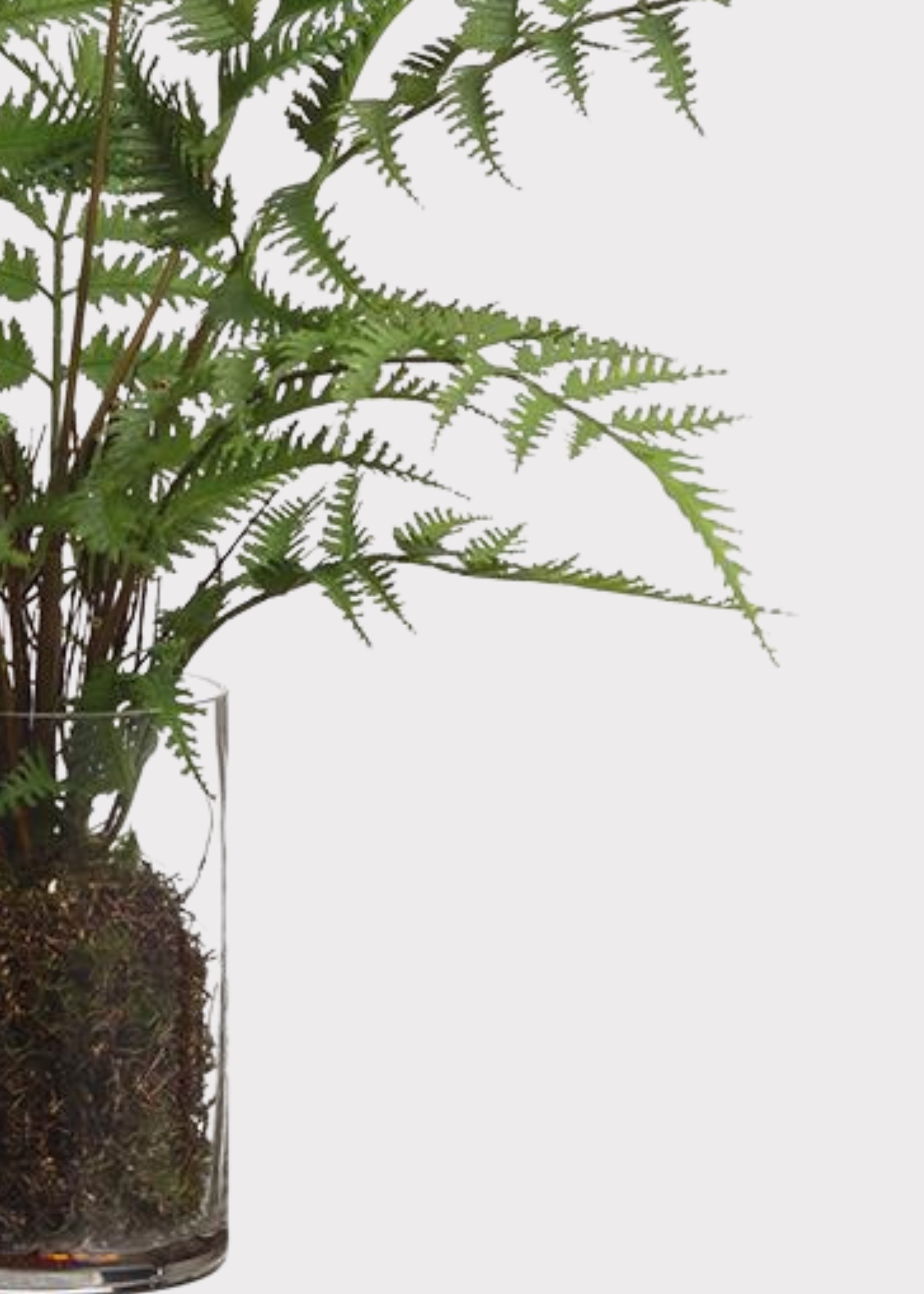 Clear Artificial Fern Arrangement for Home Decor