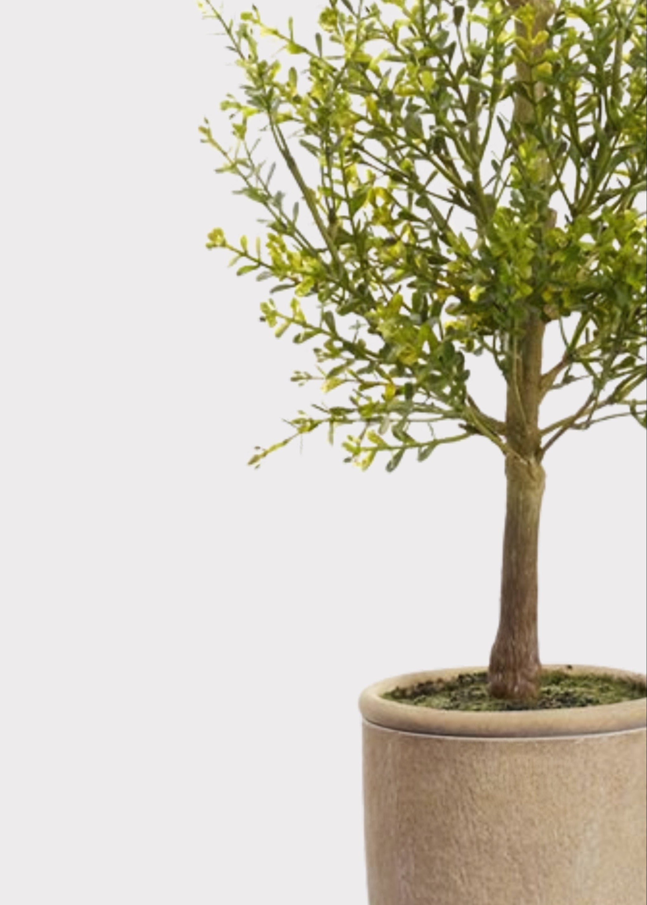 Green Artificial Leaf Potted Plant for Home Decor