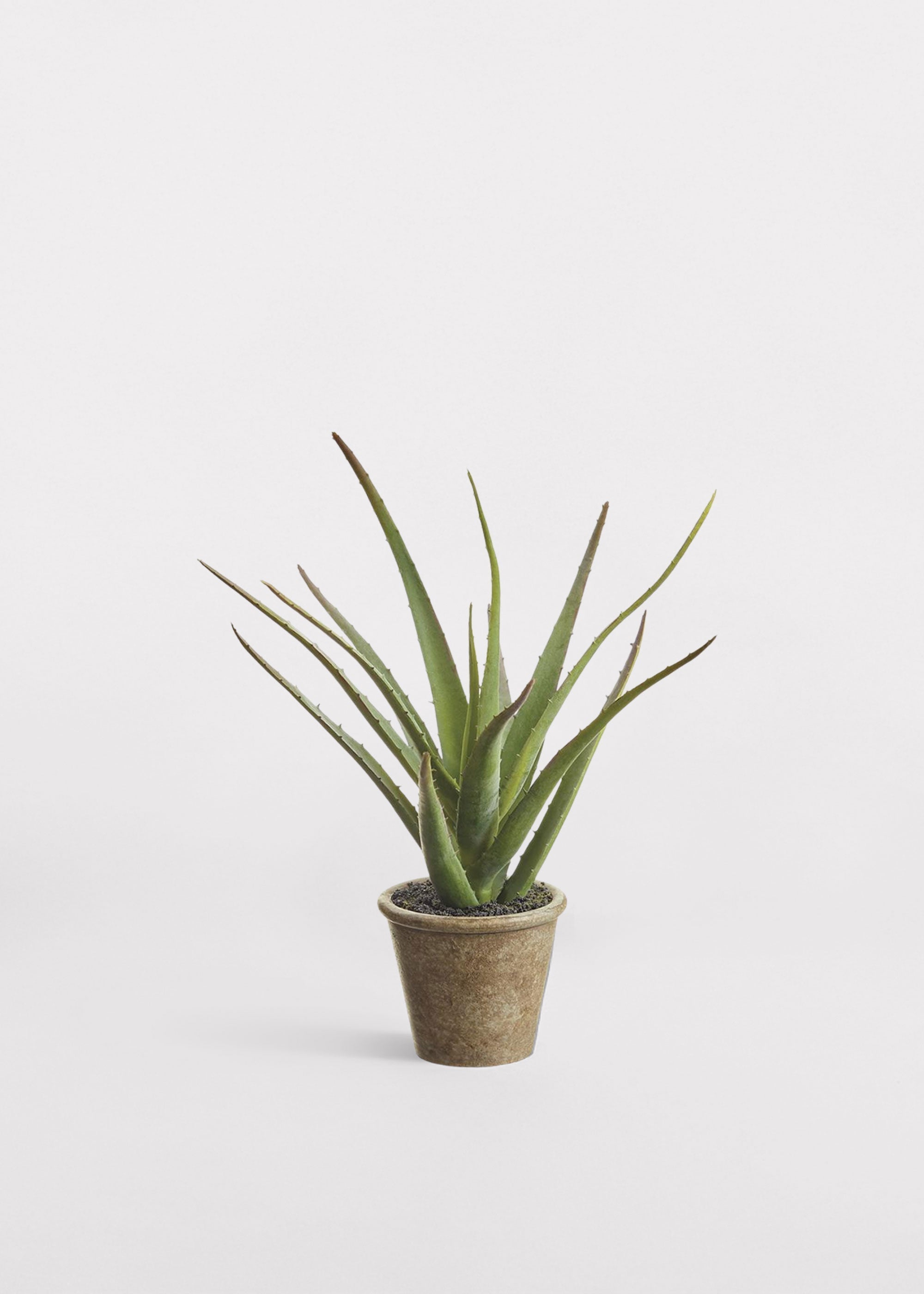 Green Artificial Agave Potted Plant for Vase Styling
