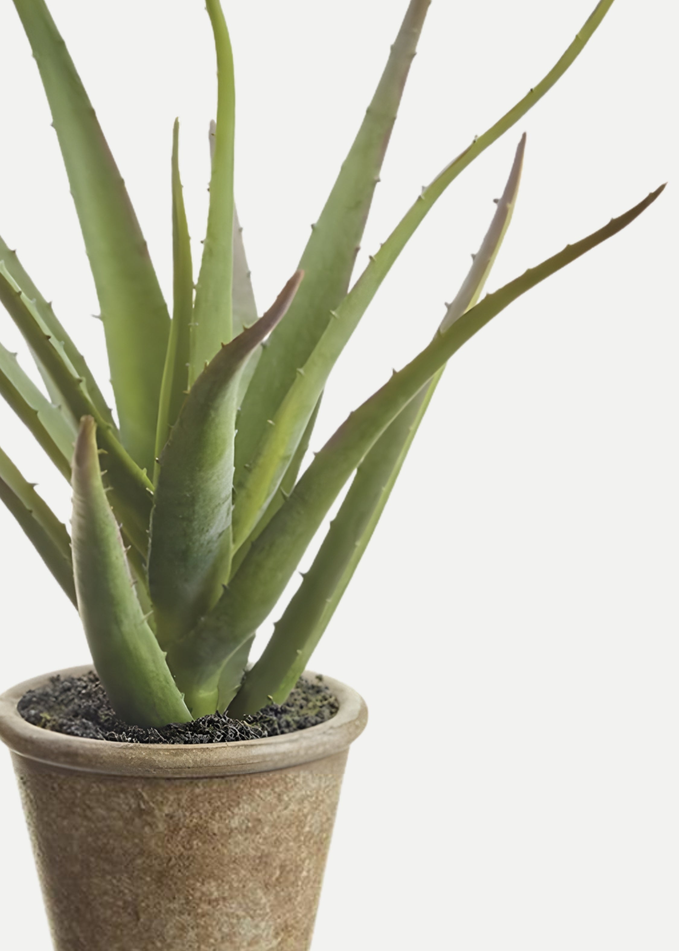 Green Artificial Agave Potted Plant for Home Decor