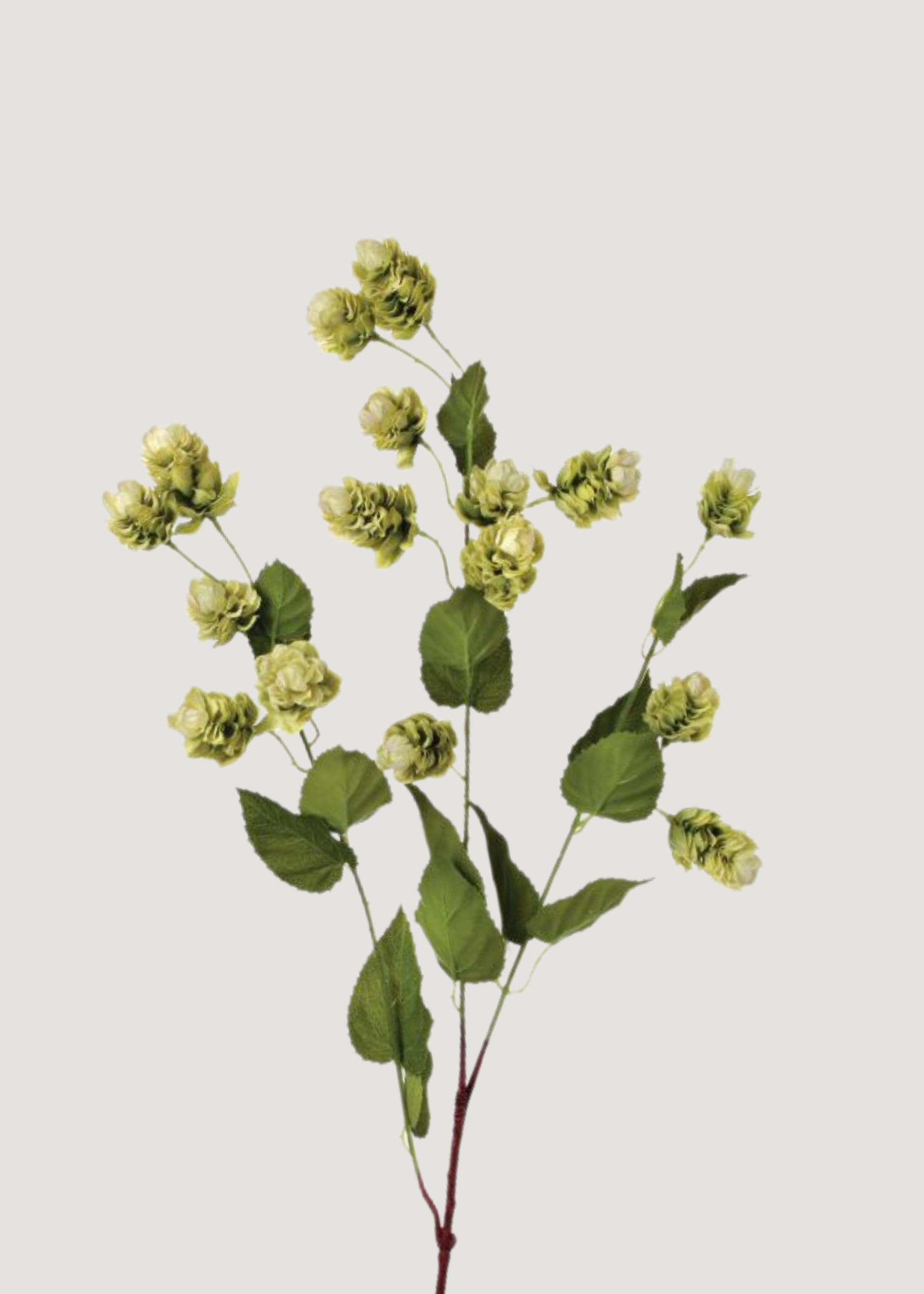 Green Artificial Hops Greenery Branch for Vase Styling