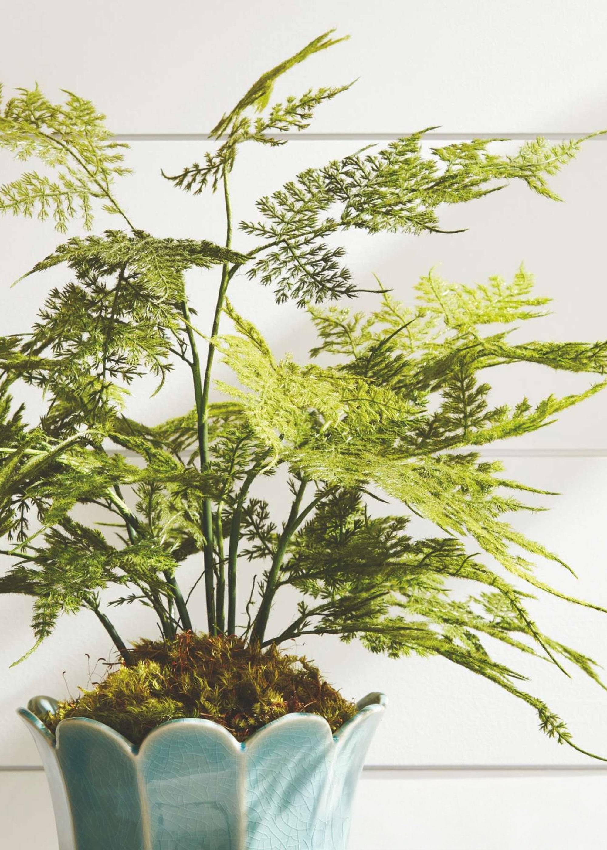 Green Artificial Fern Potted Plant for Table Centerpiece