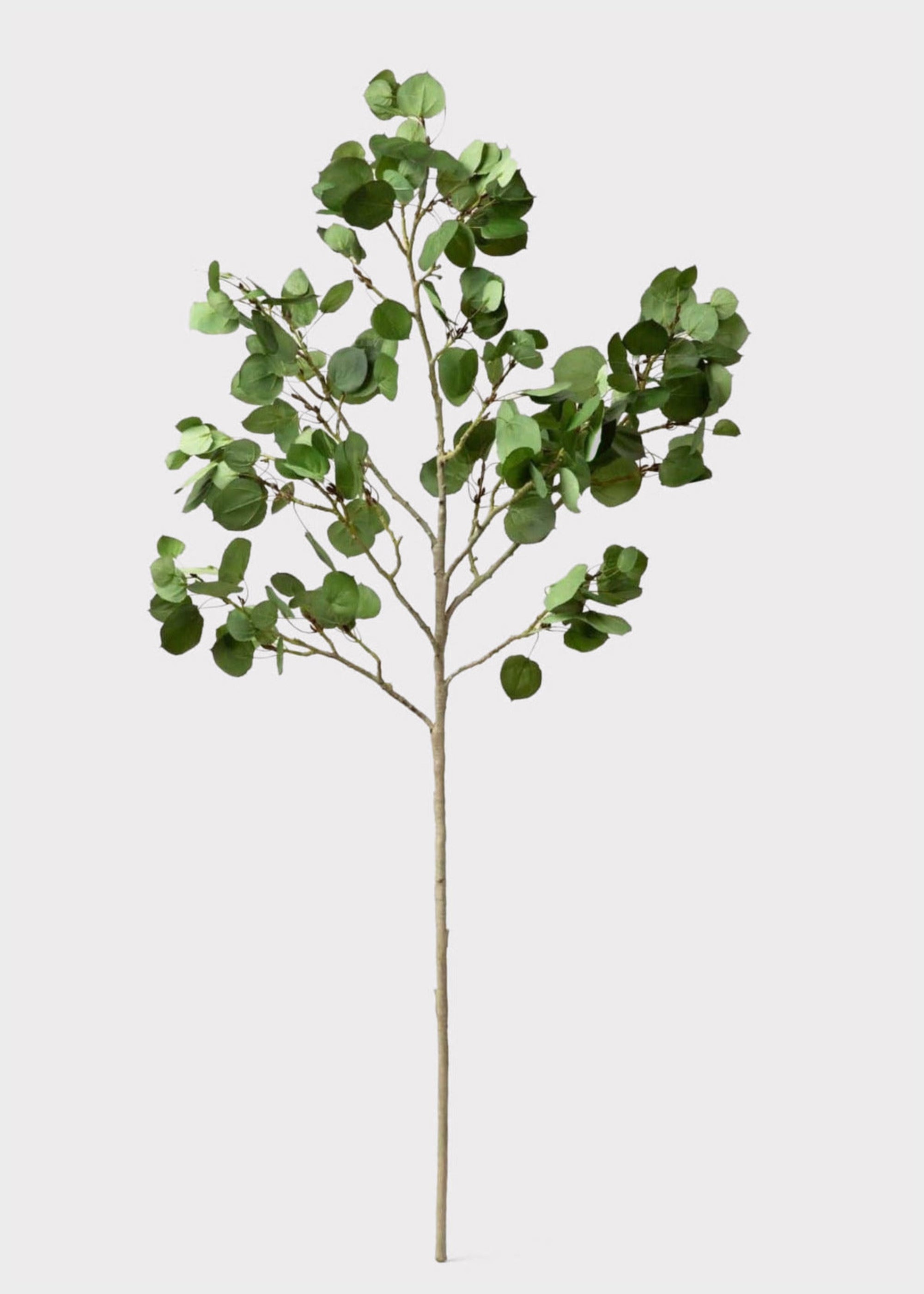Green Artificial Premium Tall Aspen Branch for Vase Styling