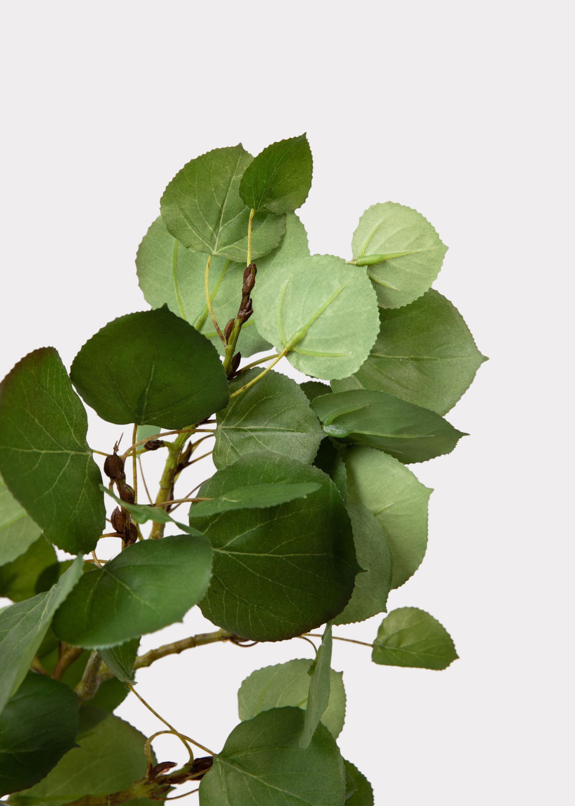 Green Artificial Premium Tall Aspen Branch for Entryway Arrangement