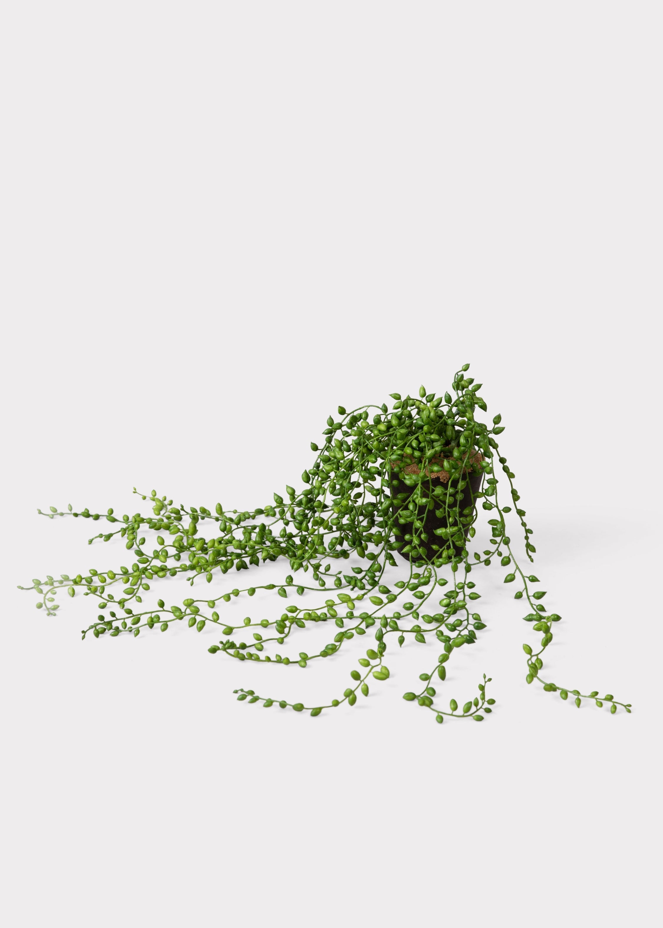 Green Artificial Succulent Arrangement for Table Centerpiece