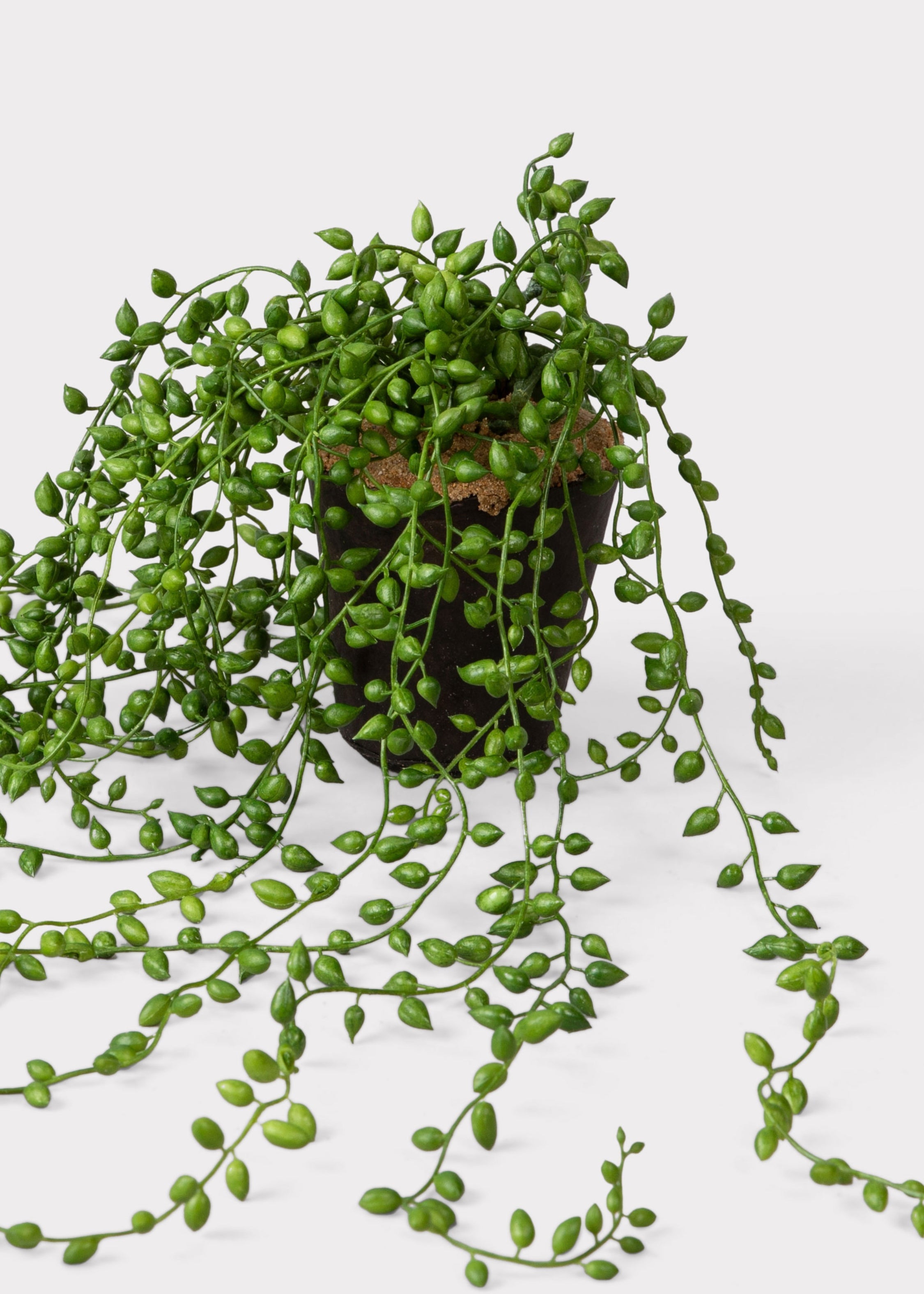 Green Artificial Succulent Arrangement for Vase Styling