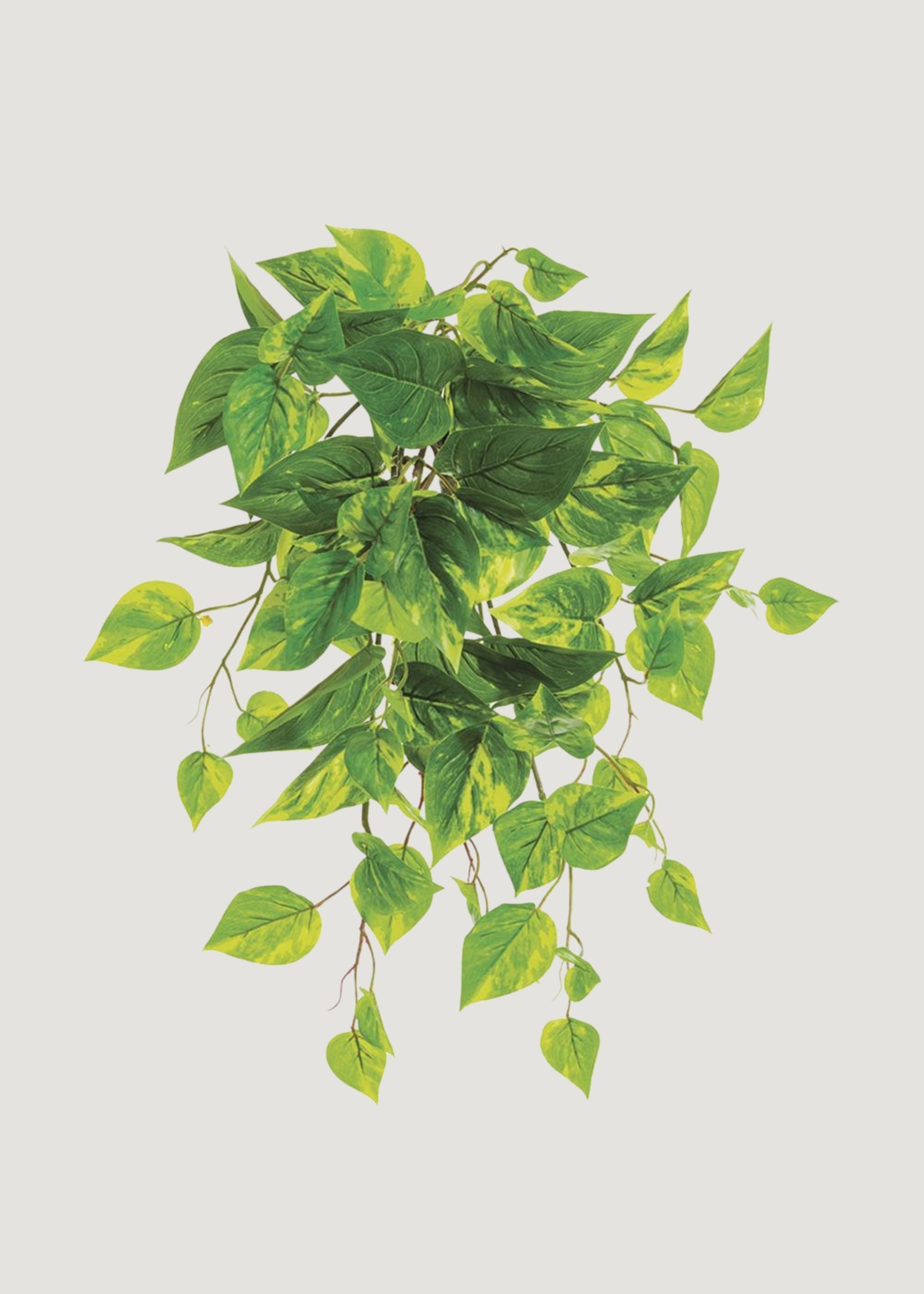 Green Artificial Pothos Hanging Bush for Vase Styling