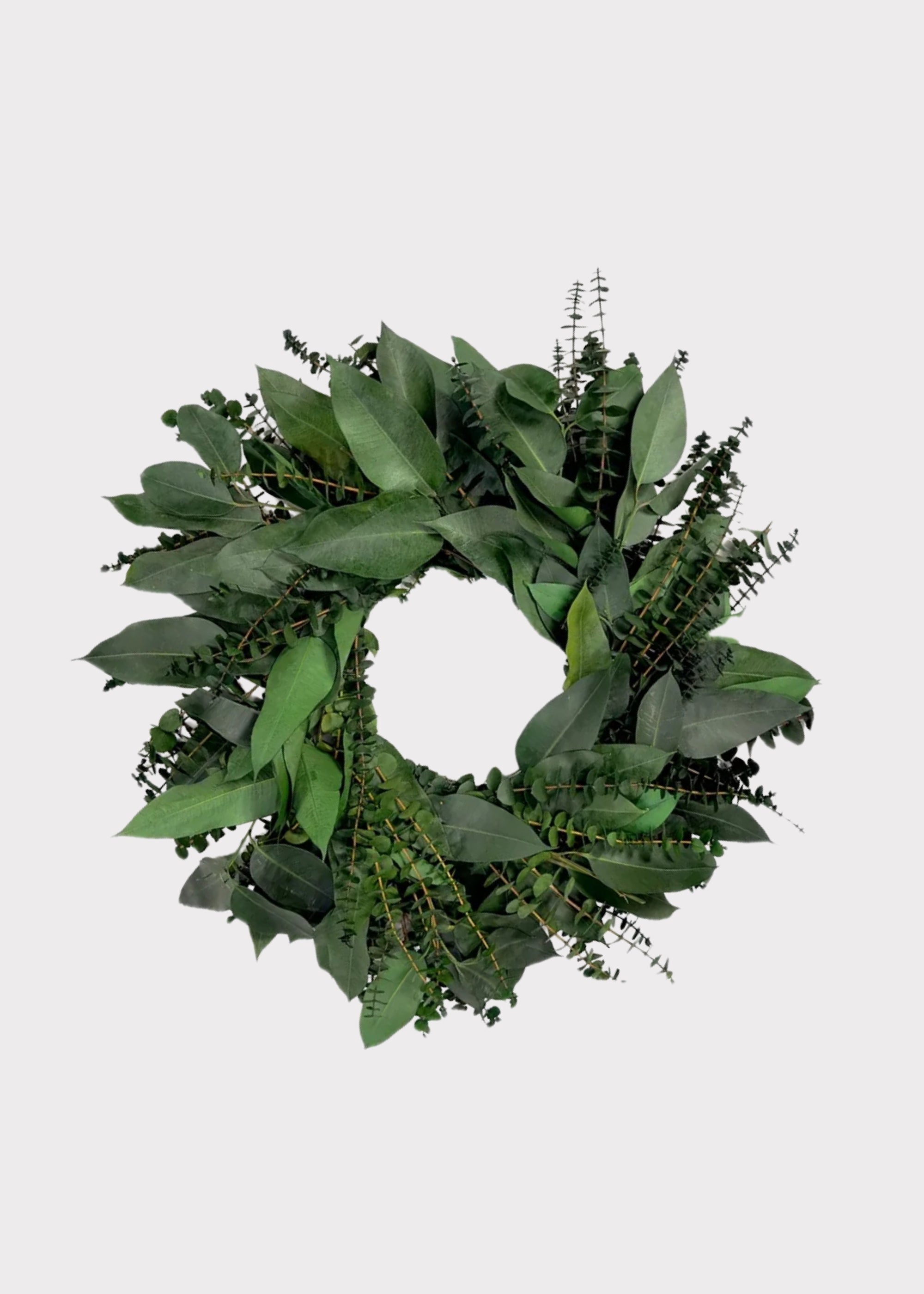 Green Dried Eucalyptus Wreath for Vase Styling