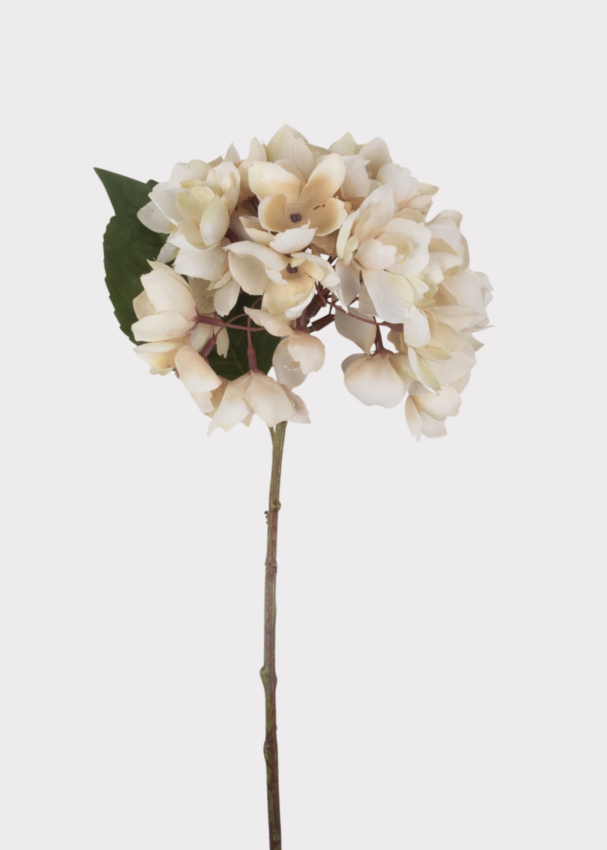 Beige artificial hydrangea stem for neutral vase styling