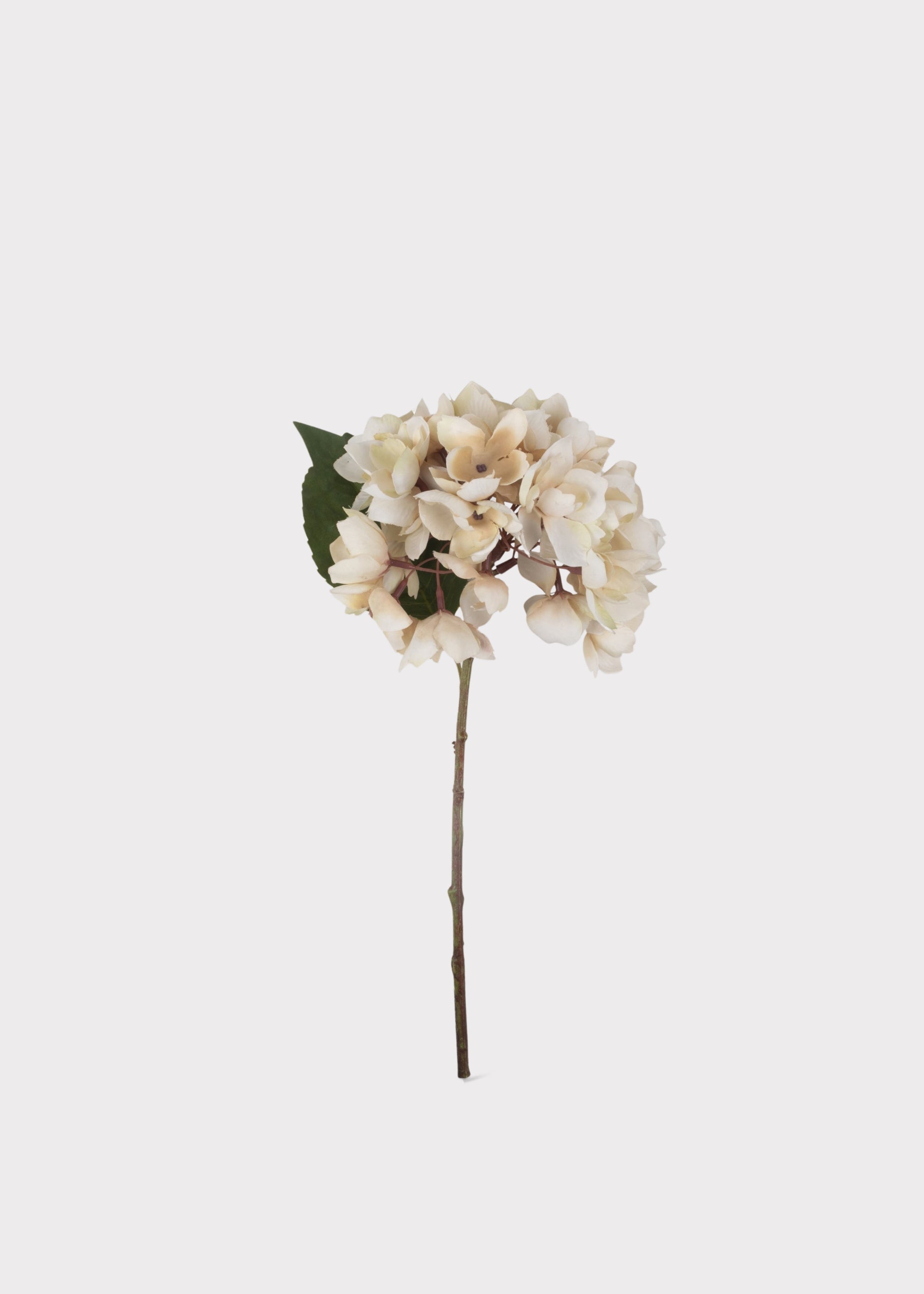 Beige faux flower stem arranged in small vase