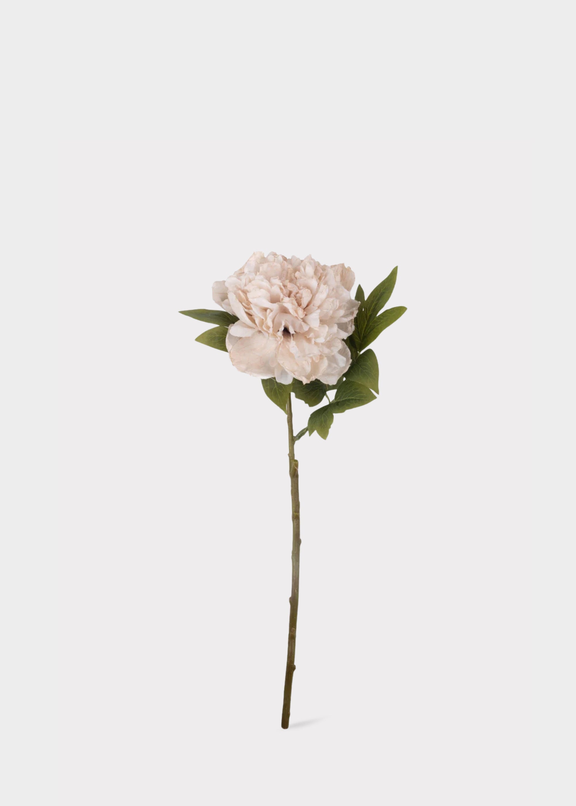 Artificial peony bloom styled for romantic home decor
