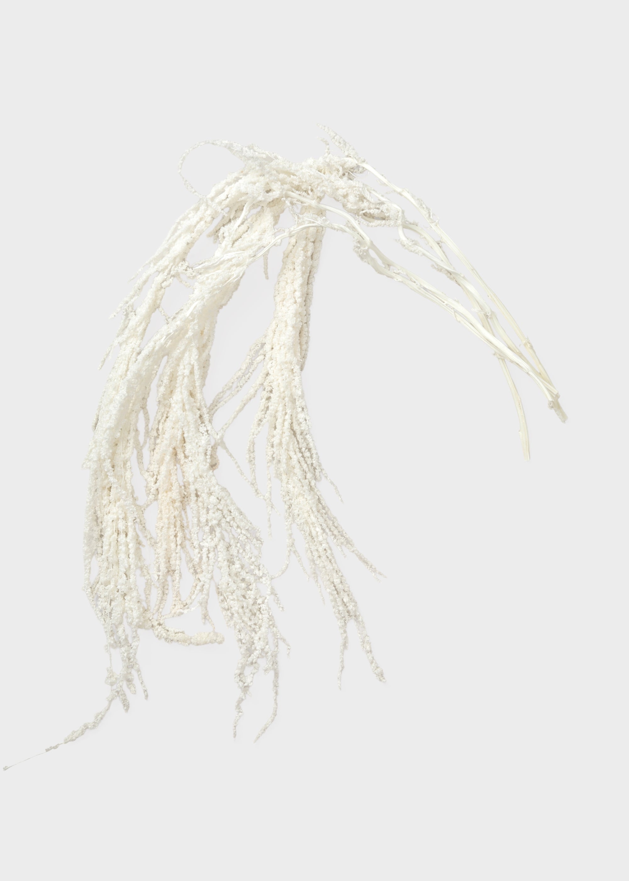 White Dried Hanging Amaranthus for Vase Styling