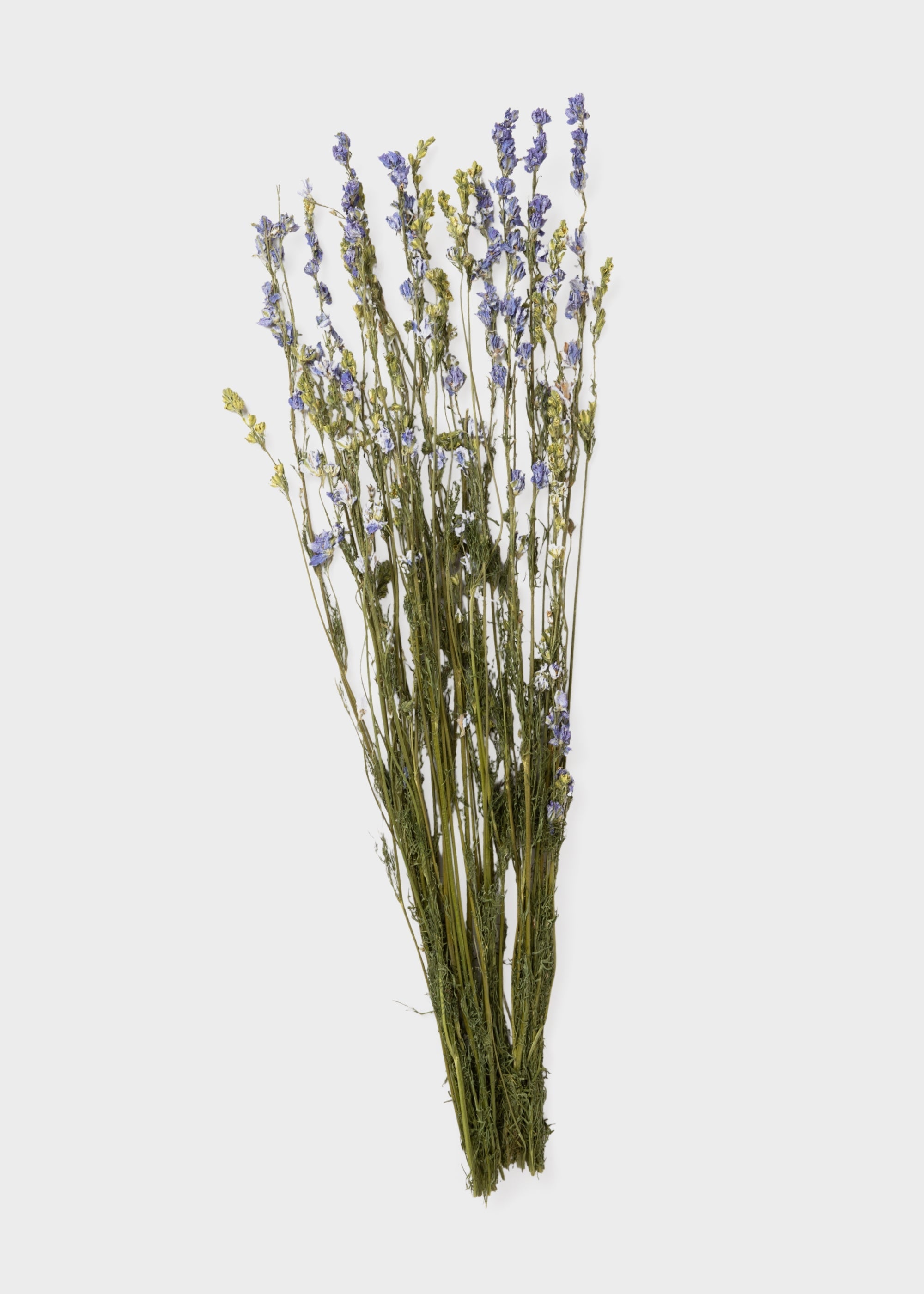 Purple Dried Larkspur Wildflower Bundle Stems for Entryway Arrangement