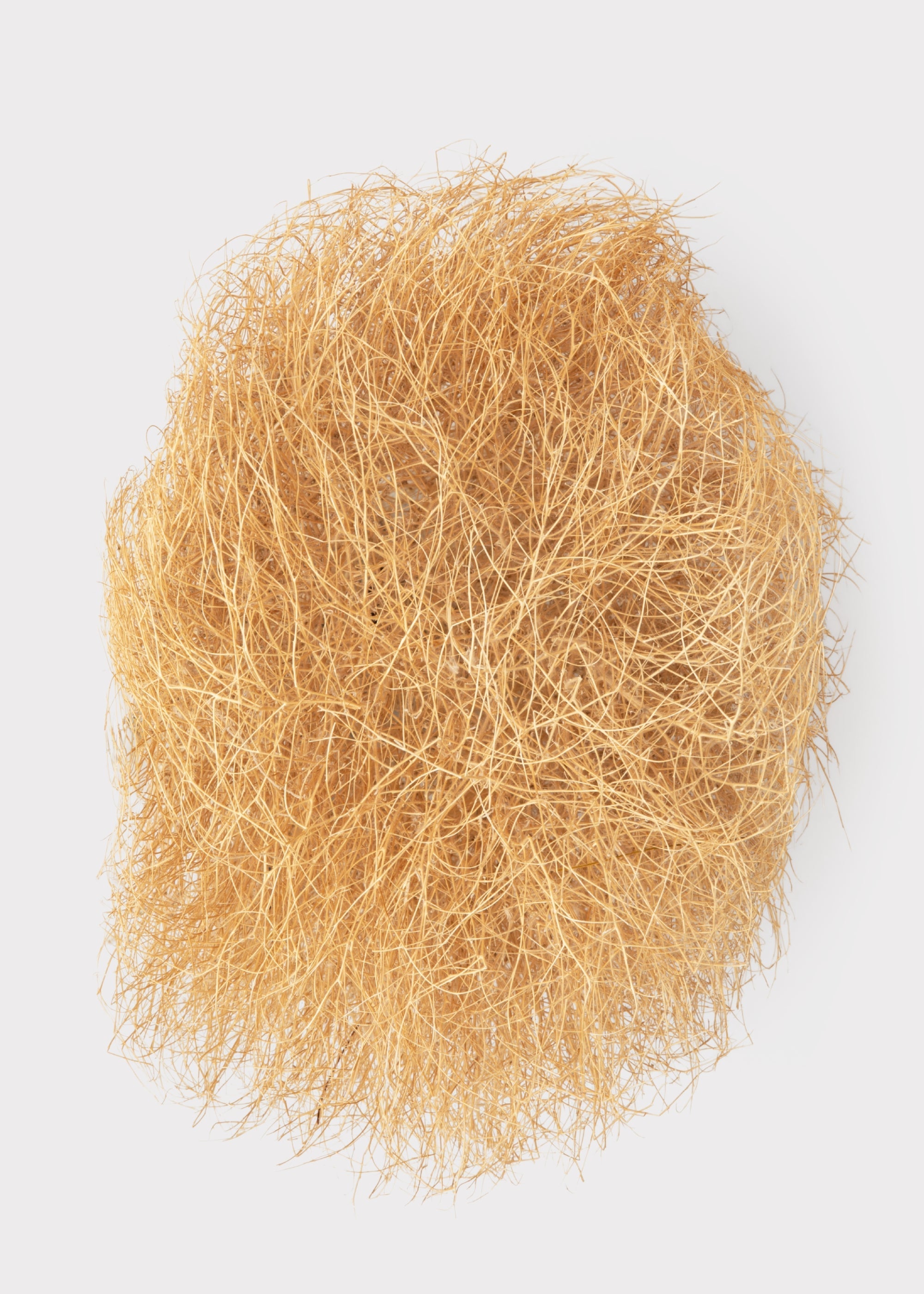 Natural Dried Tumbleweed Bunch for Vase Styling