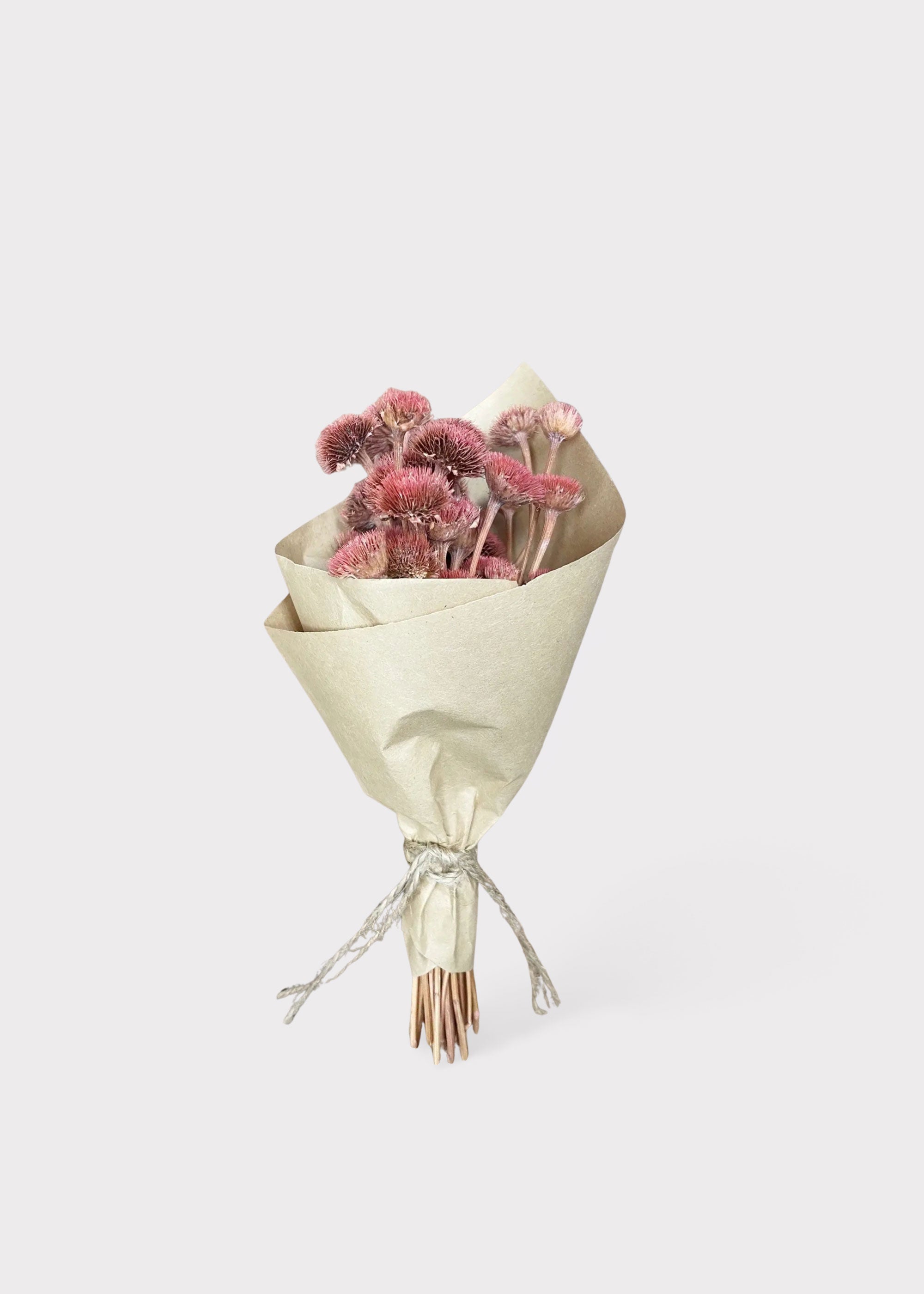 Pink Dried Daisy Bouquet for Wedding Decor
