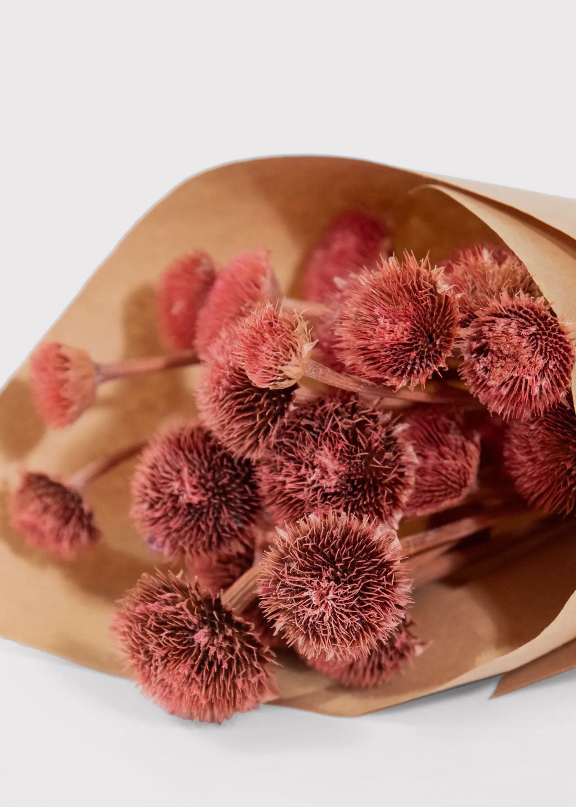 Pink Dried Daisy Bouquet for Home Decor