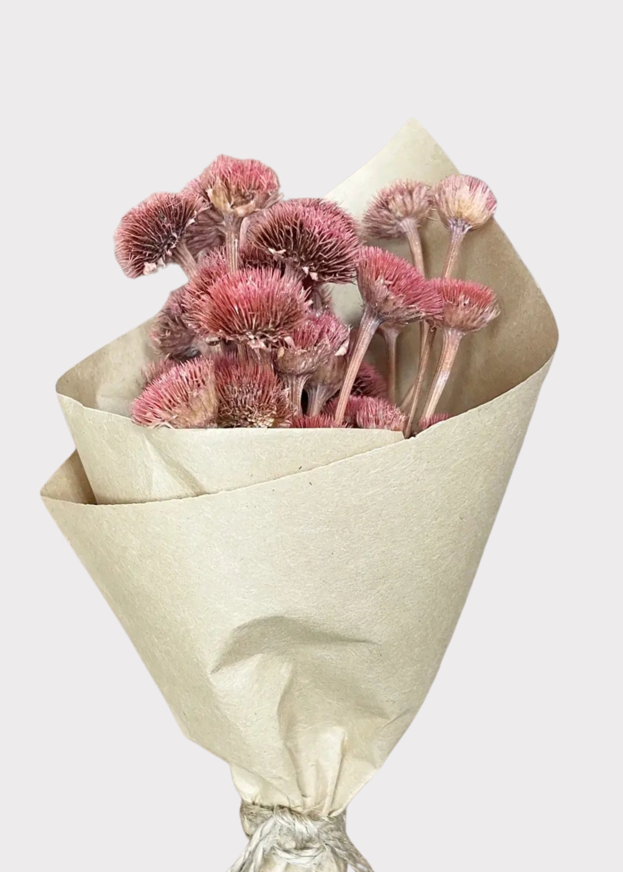 Pink Dried Daisy Bouquet for Vase Styling