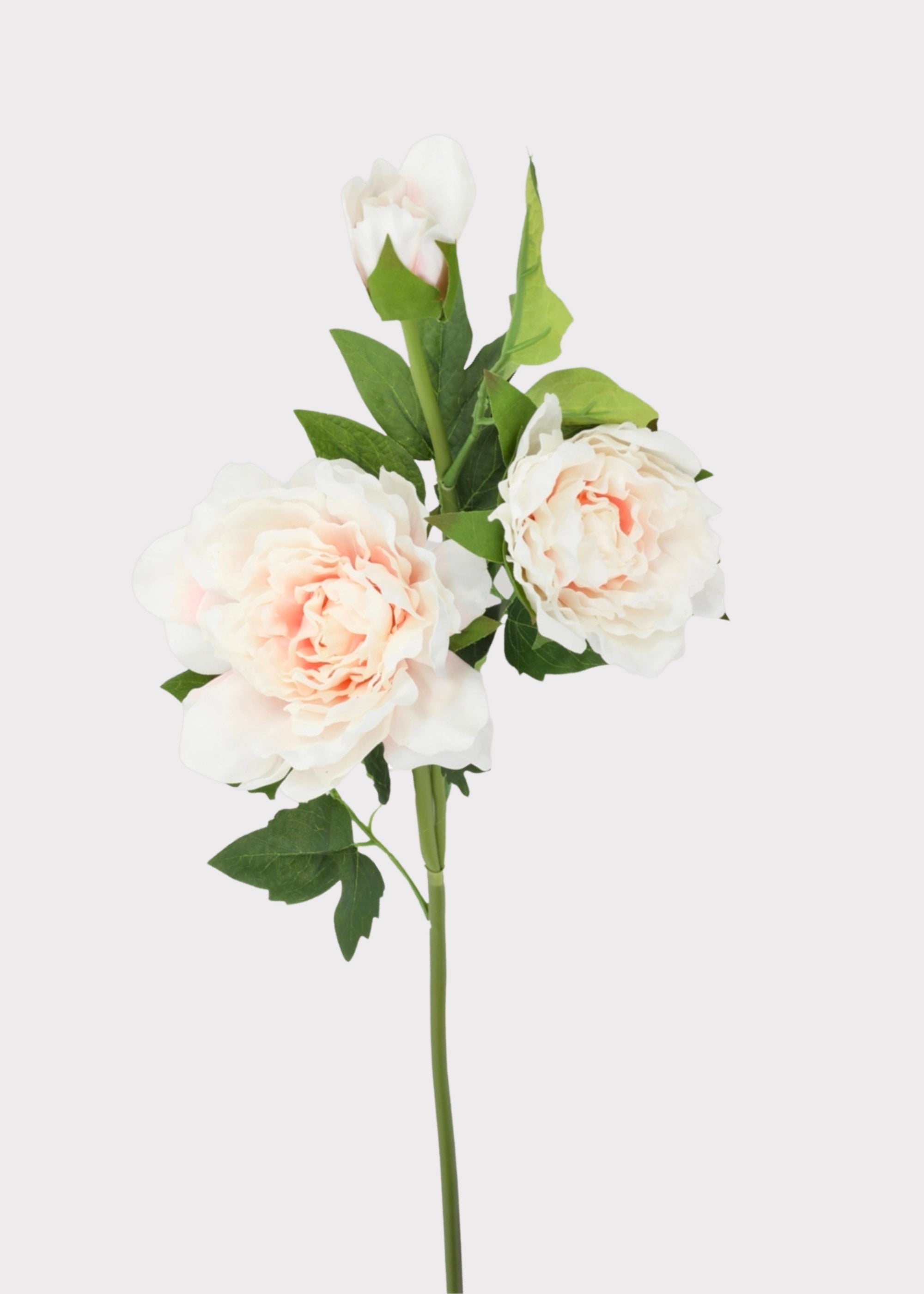 Pink Real Touch Artificial Peony Stem for Vase Styling
