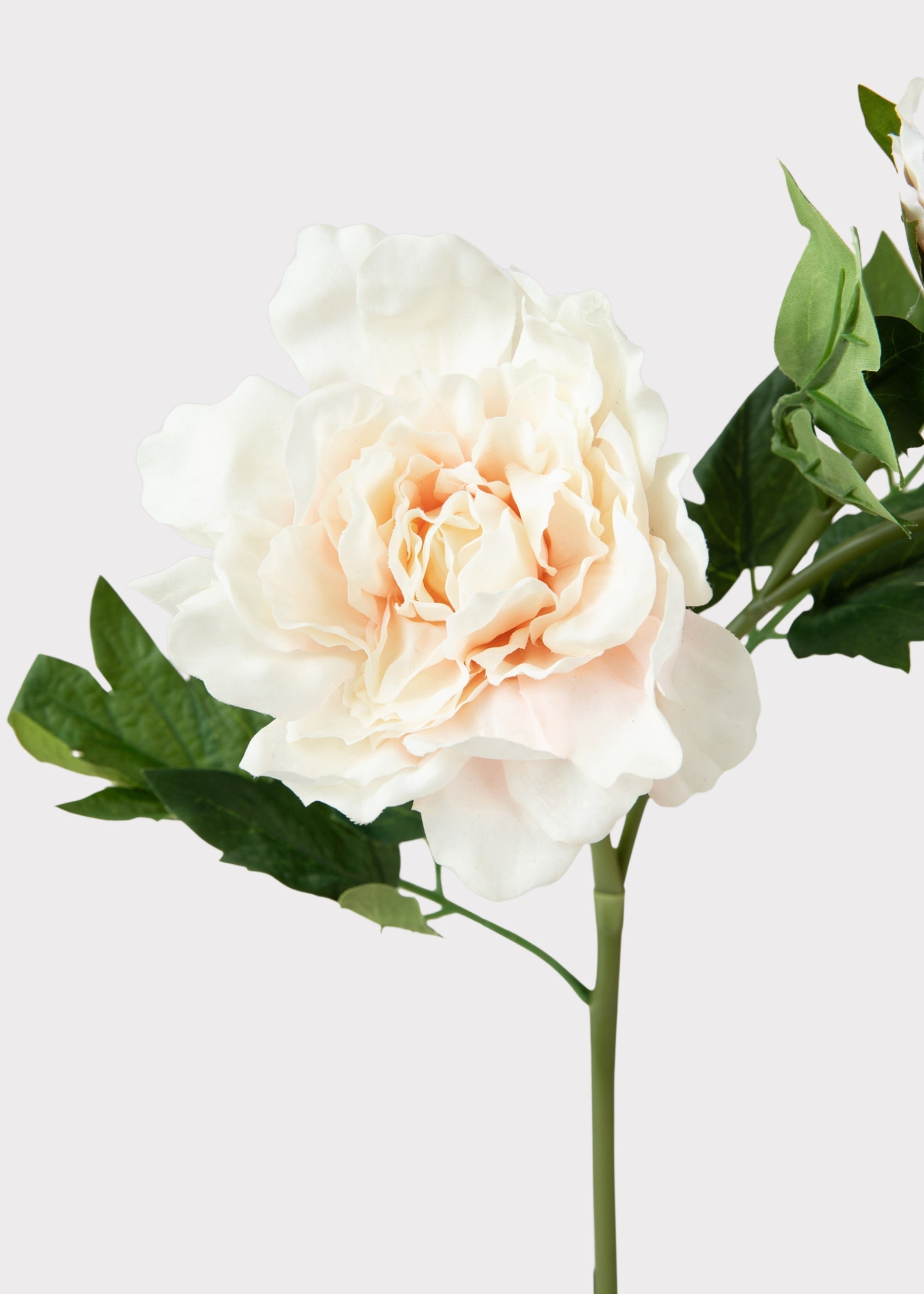 Pink Real Touch Artificial Peony Stem for Table Centerpiece