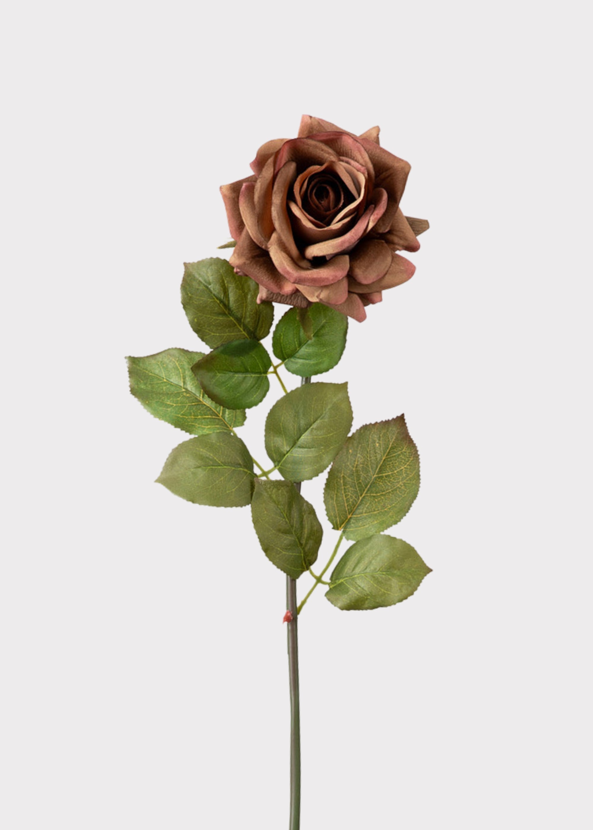Brown Real Touch Artificial Rose Stem for Vase Styling
