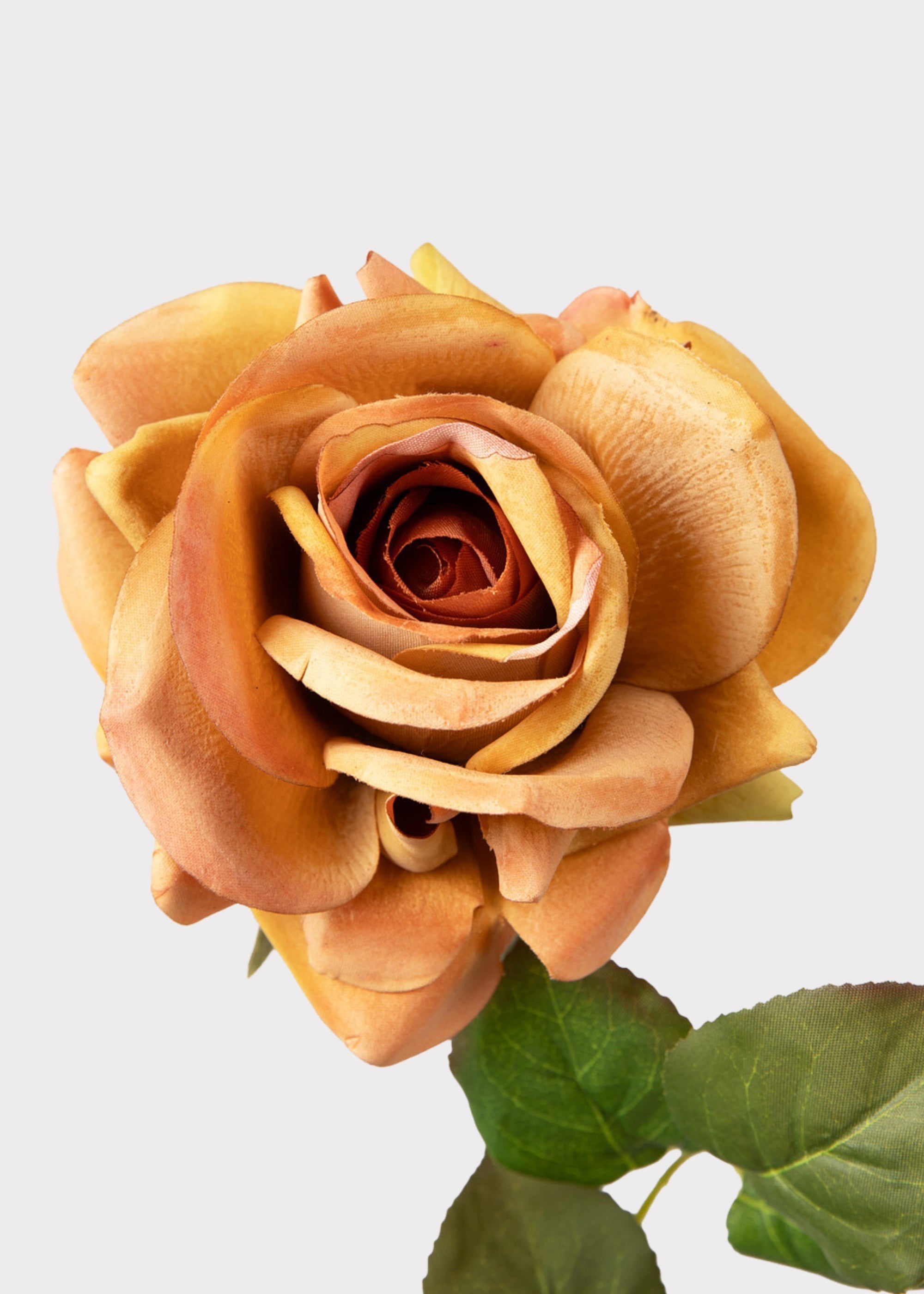 Orange Real Touch Artificial Rose Stem for Home Decor