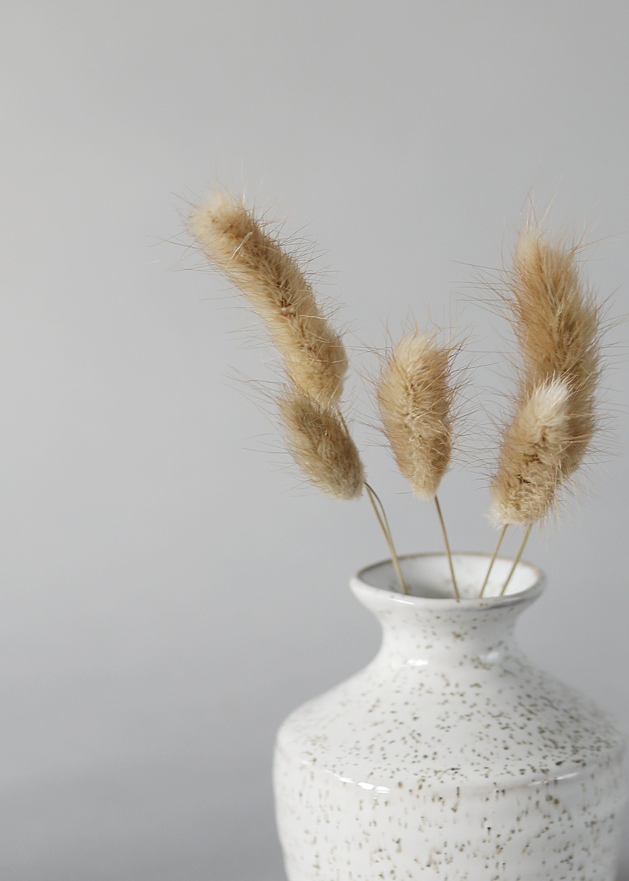 Natural Dried Grass Bundle for Home Decor
