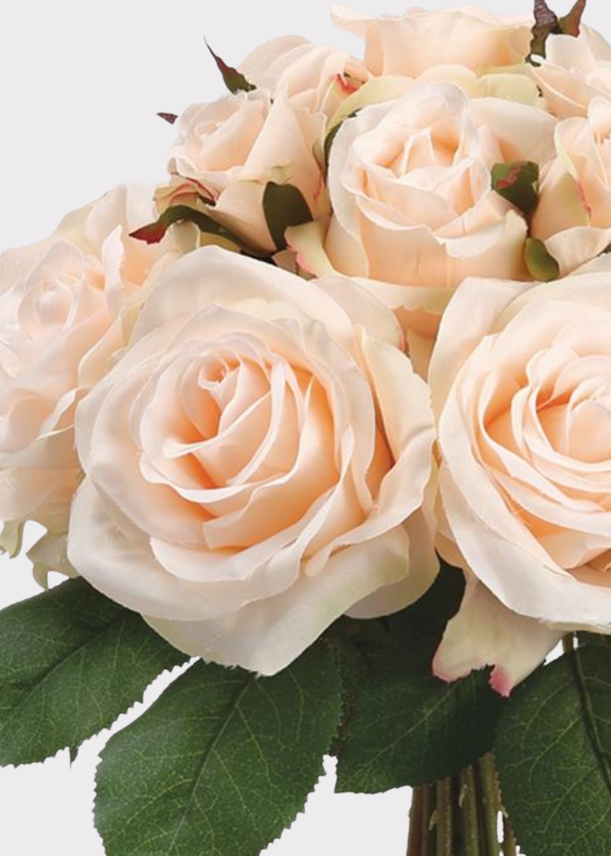 Cream Artificial Rose Bouquet for Home Decor