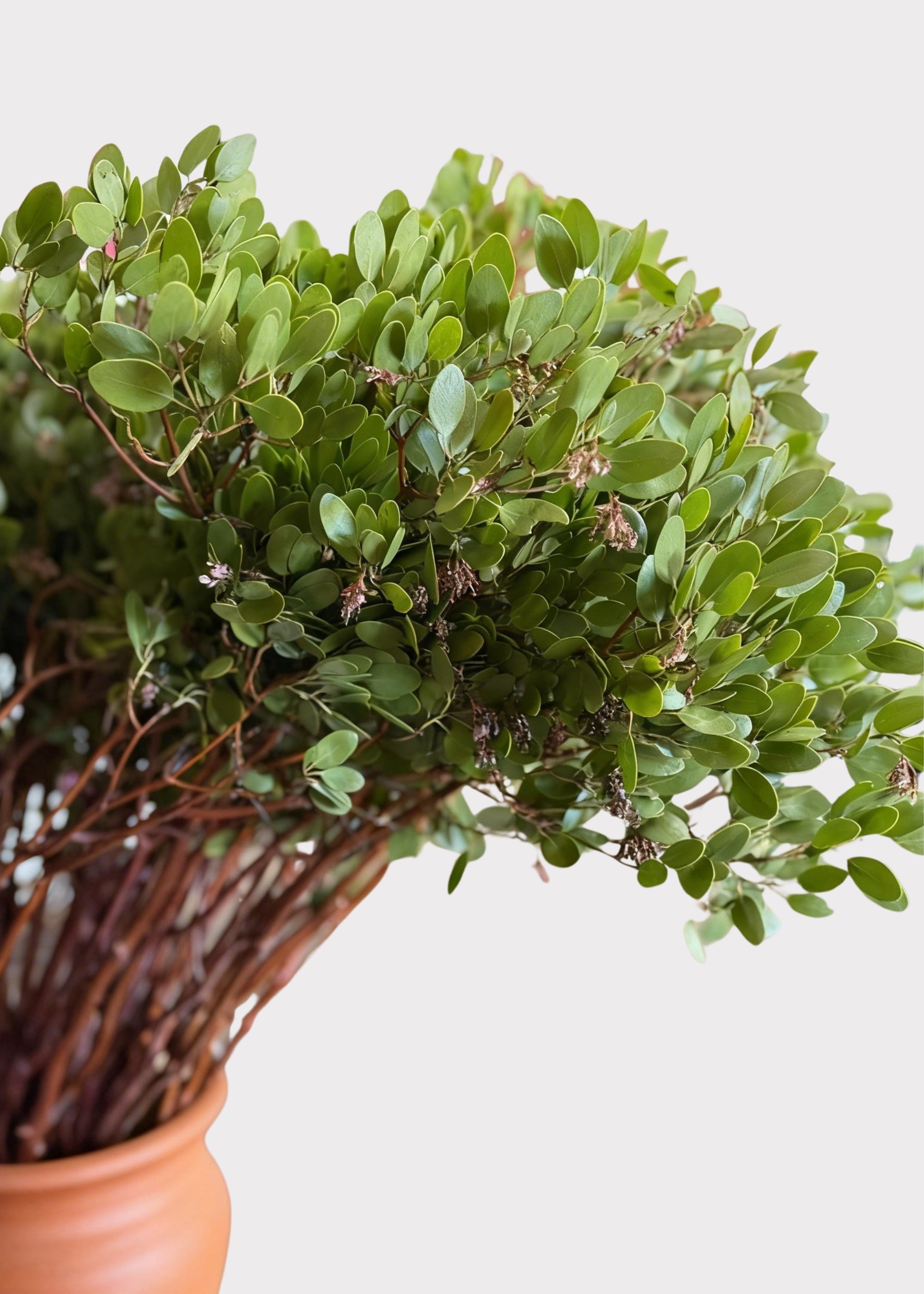 Green Artificial Leaf Branch for Home Decor
