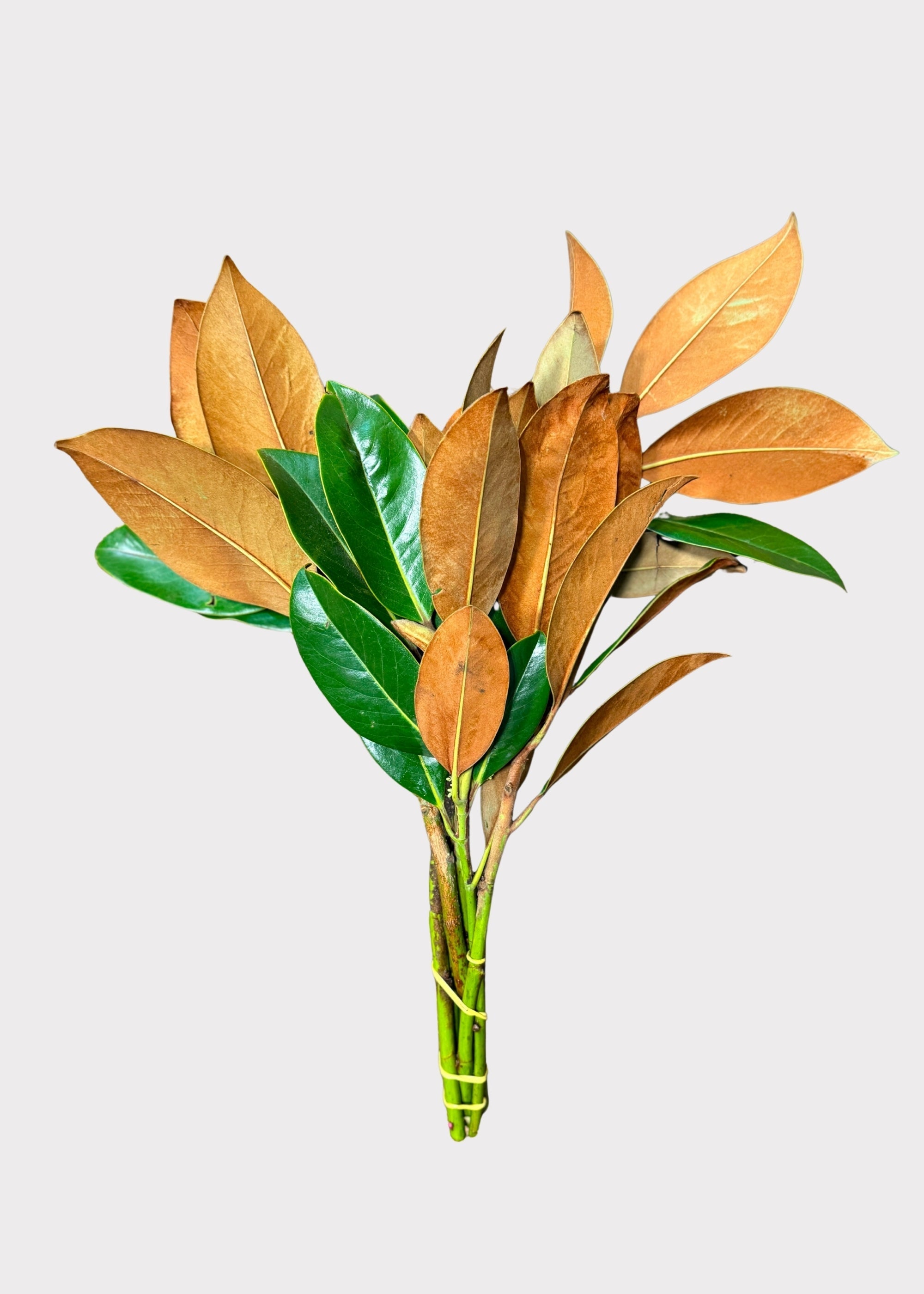 Green Artificial Magnolia Bundle for Vase Styling