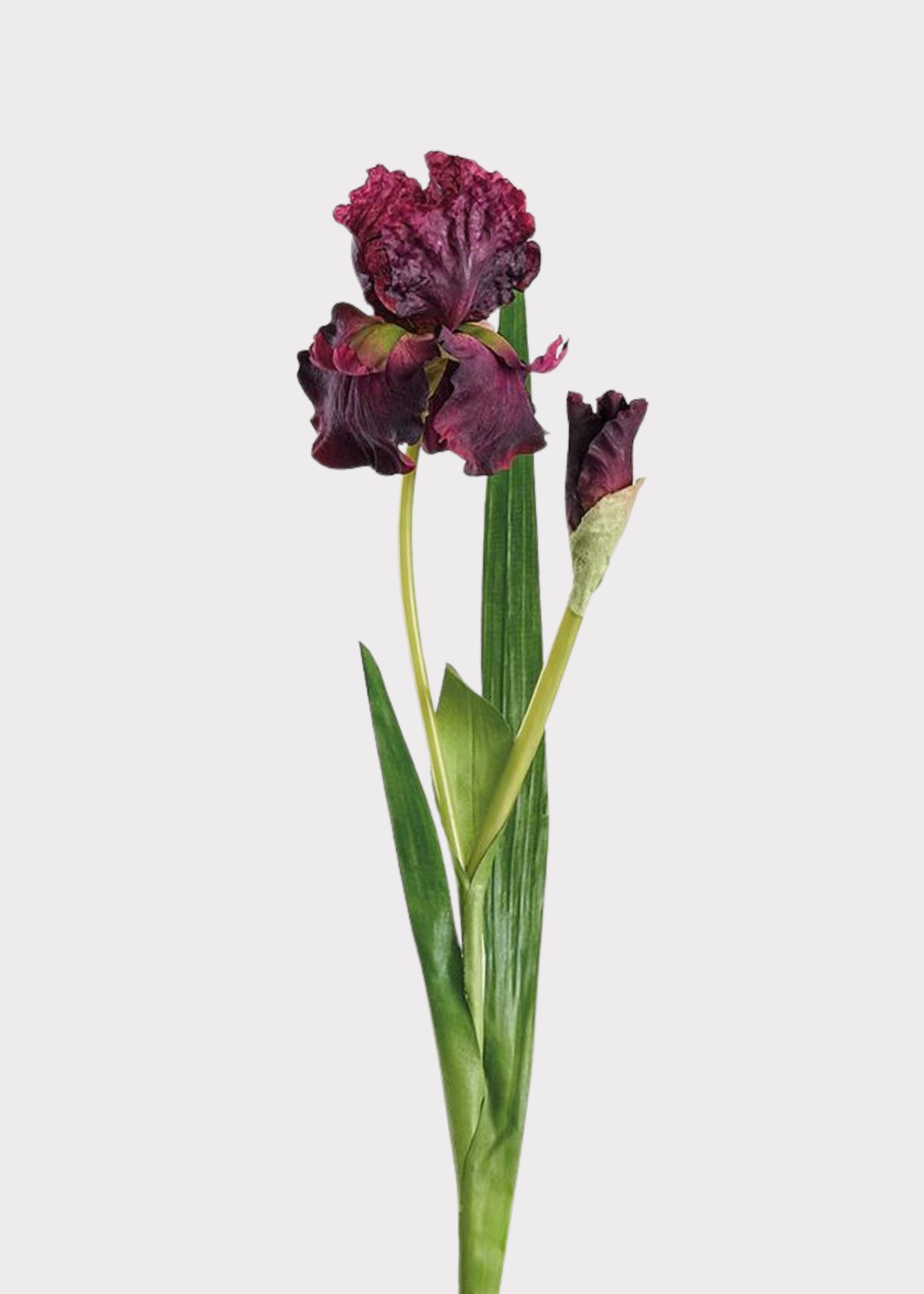 Purple Artificial Iris Stem for Vase Styling