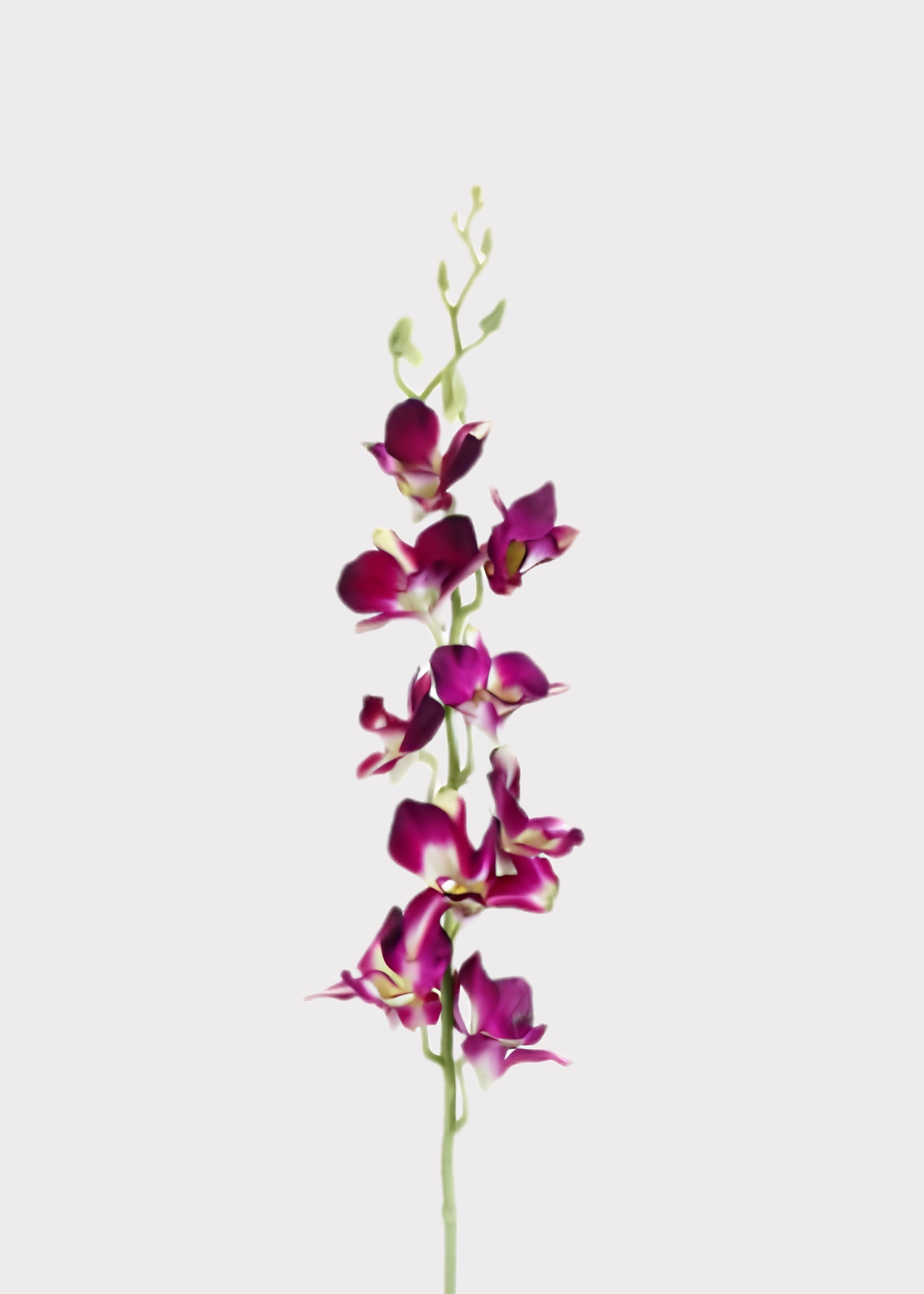 Purple Artificial Orchid Branch for Vase Styling