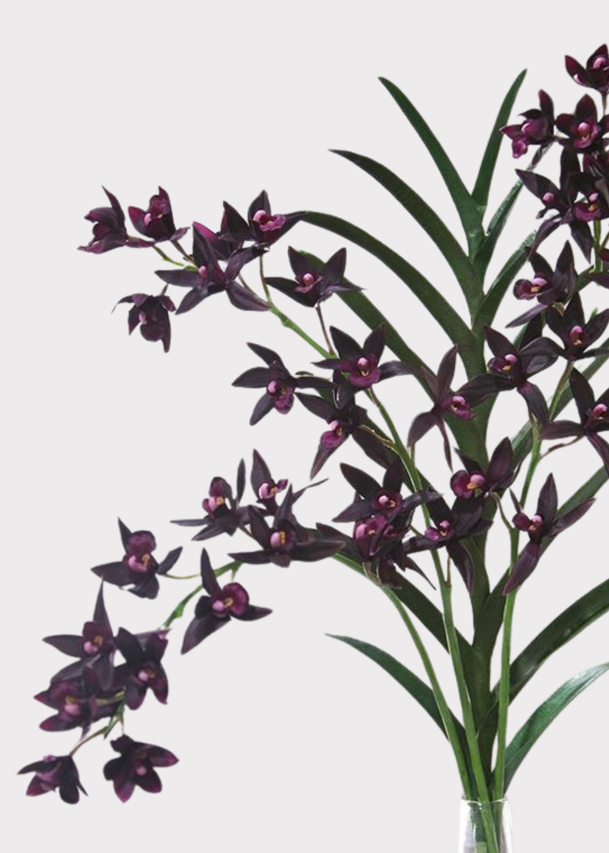 Plum Artificial Orchid Stem for Home Decor