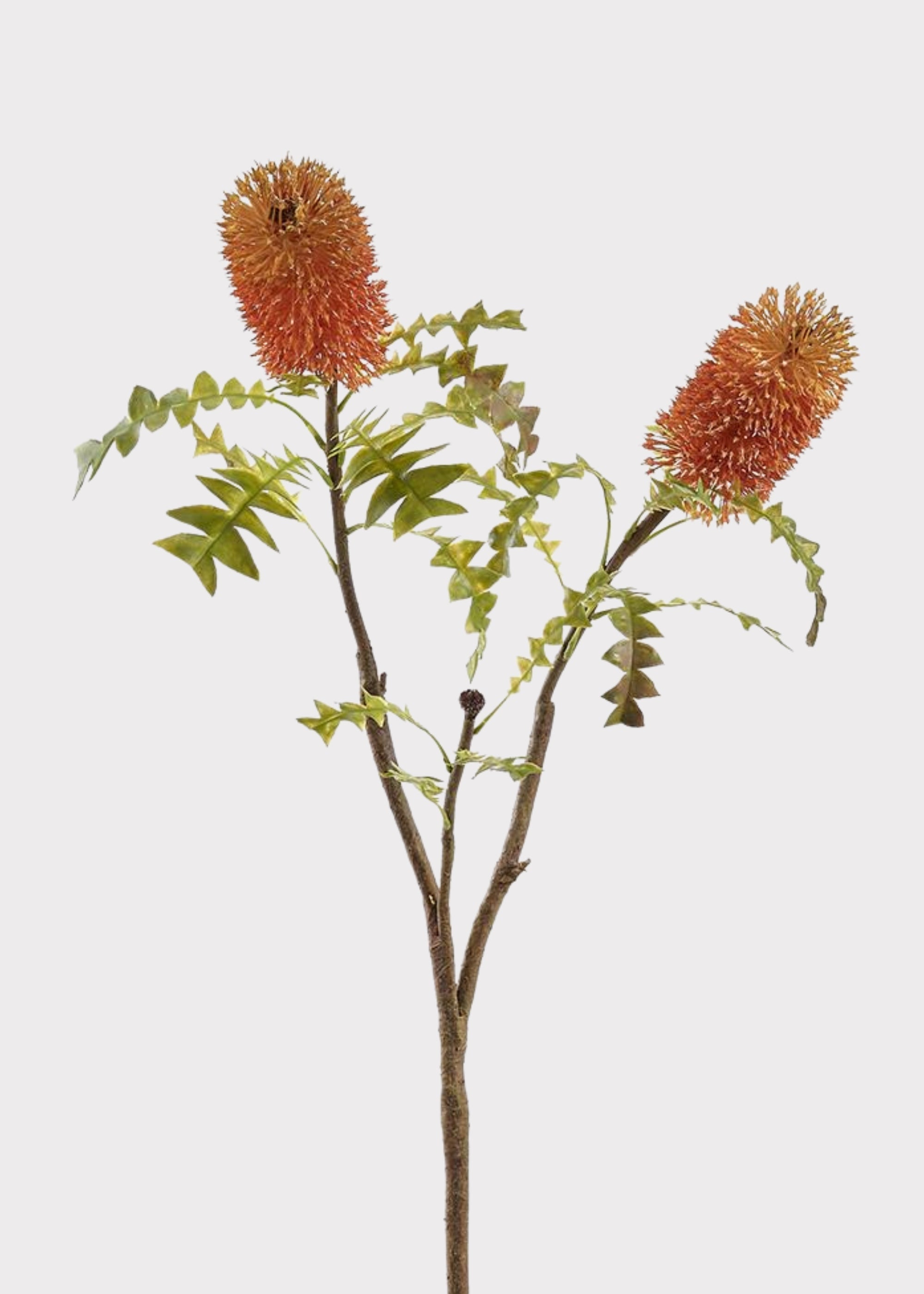 Orange Artificial Coral Orange Bottle Brush Protea Tropical Branch for Vase Styling